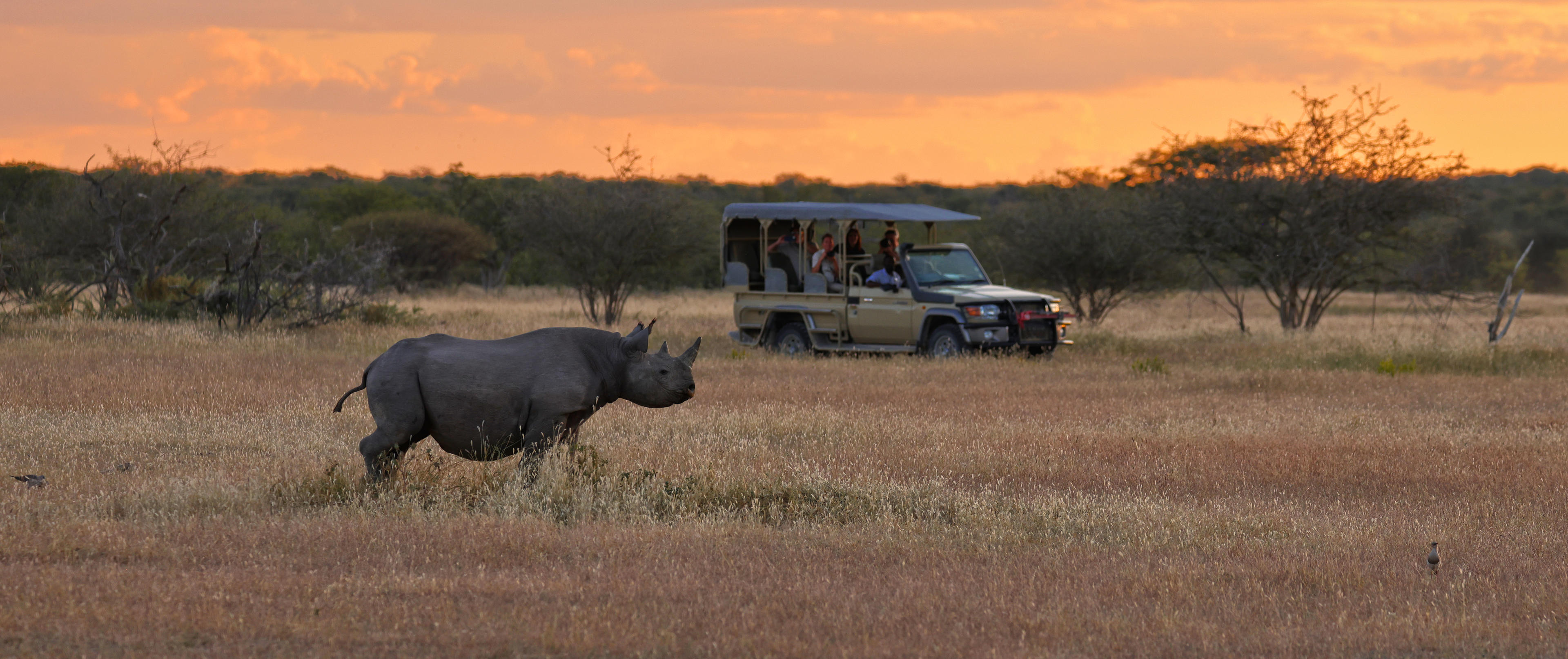 Etosha Mountain Lodge 6