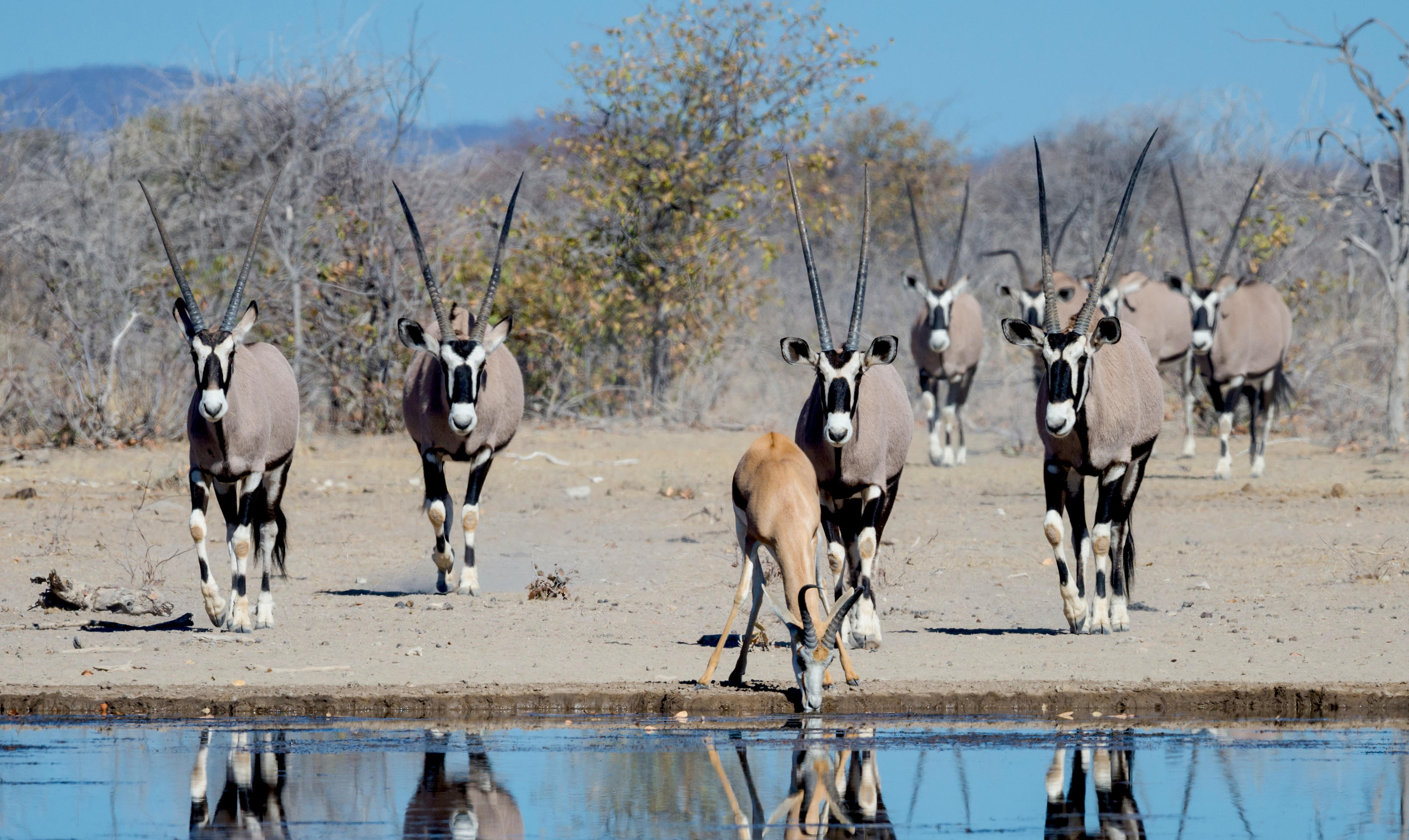 Etosha Mountain Lodge 8