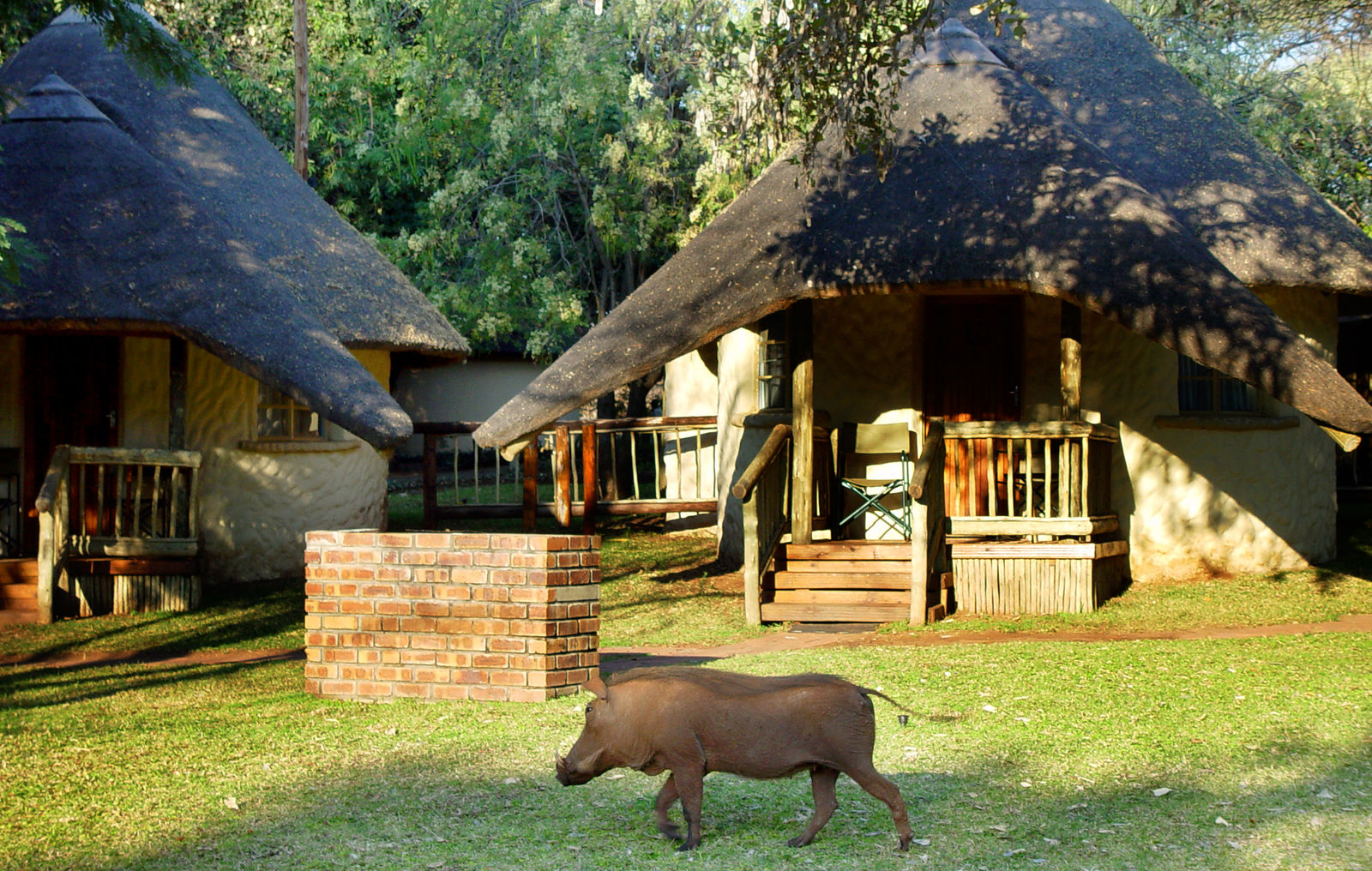 Chobe Safari Lodge