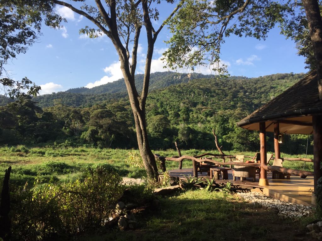 Kitich Forest Camp