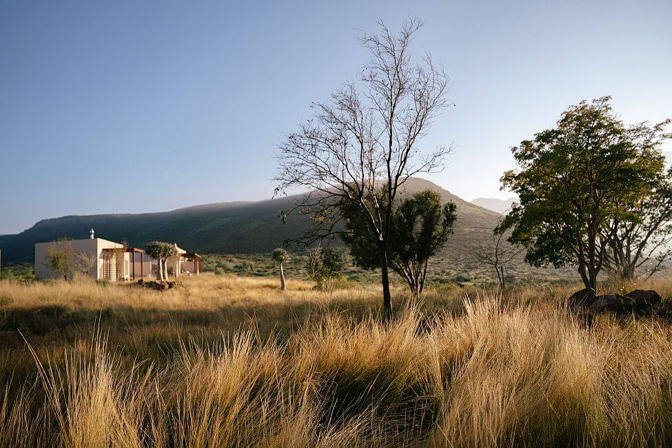 Simbavati Cederberg Ridge 4
