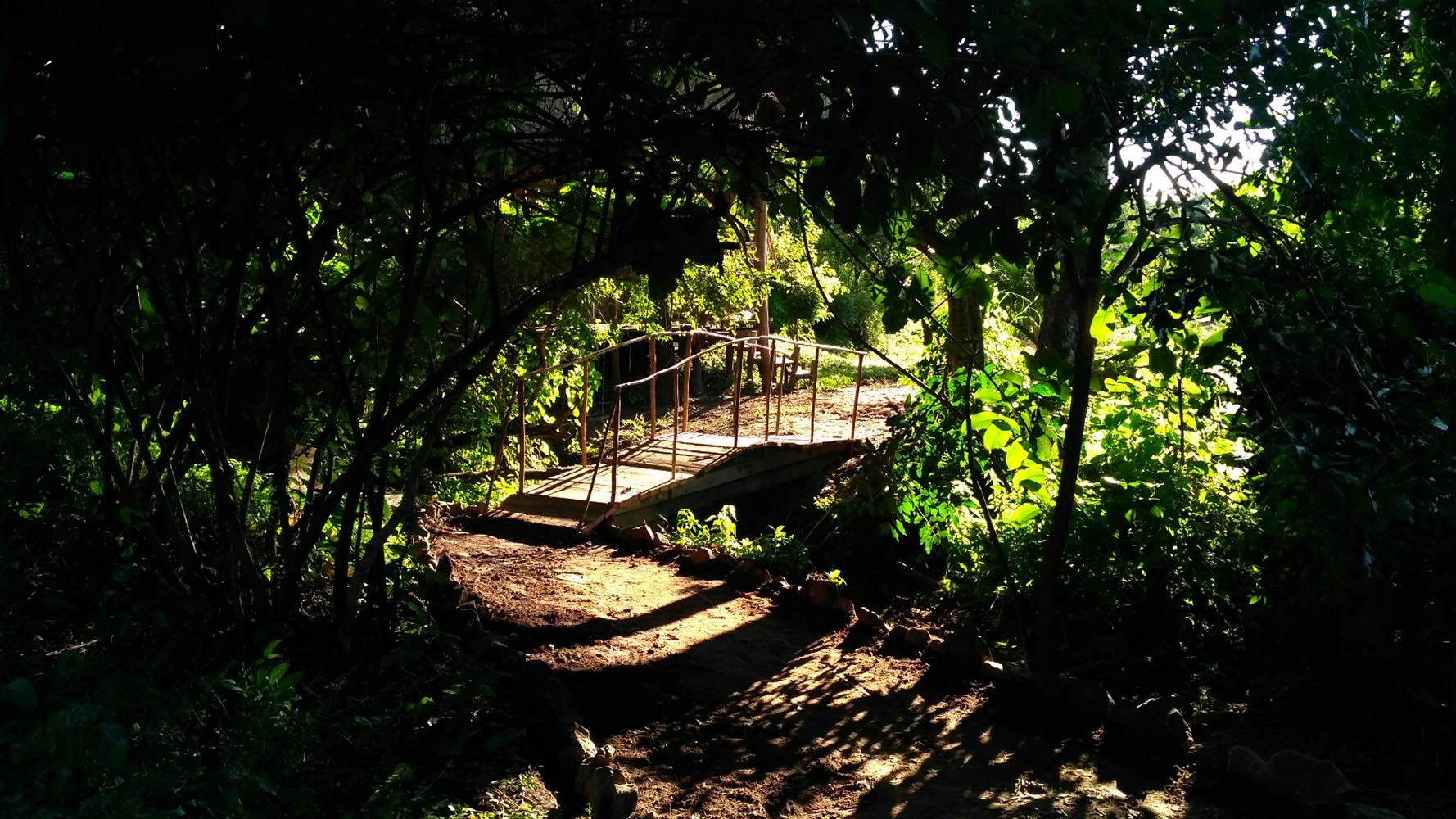 Bua River Lodge