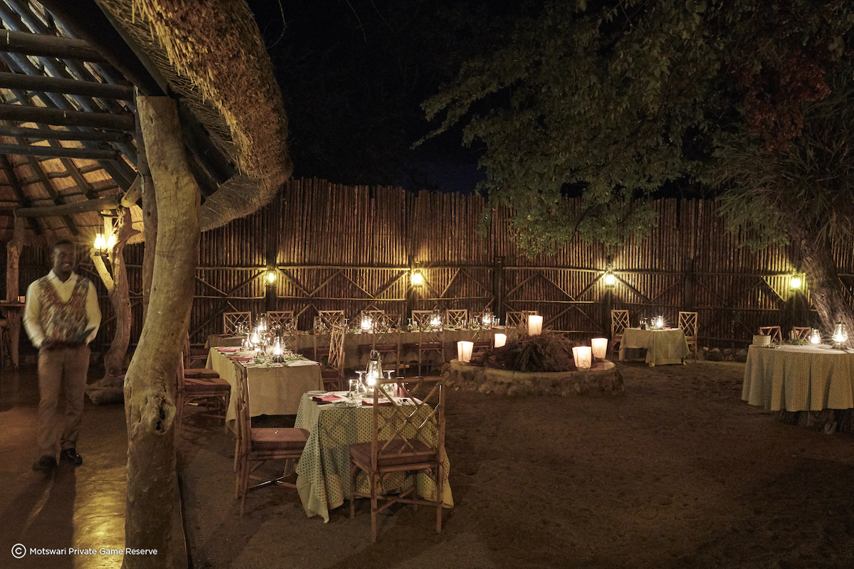 Motswari Private Game Reserve 4