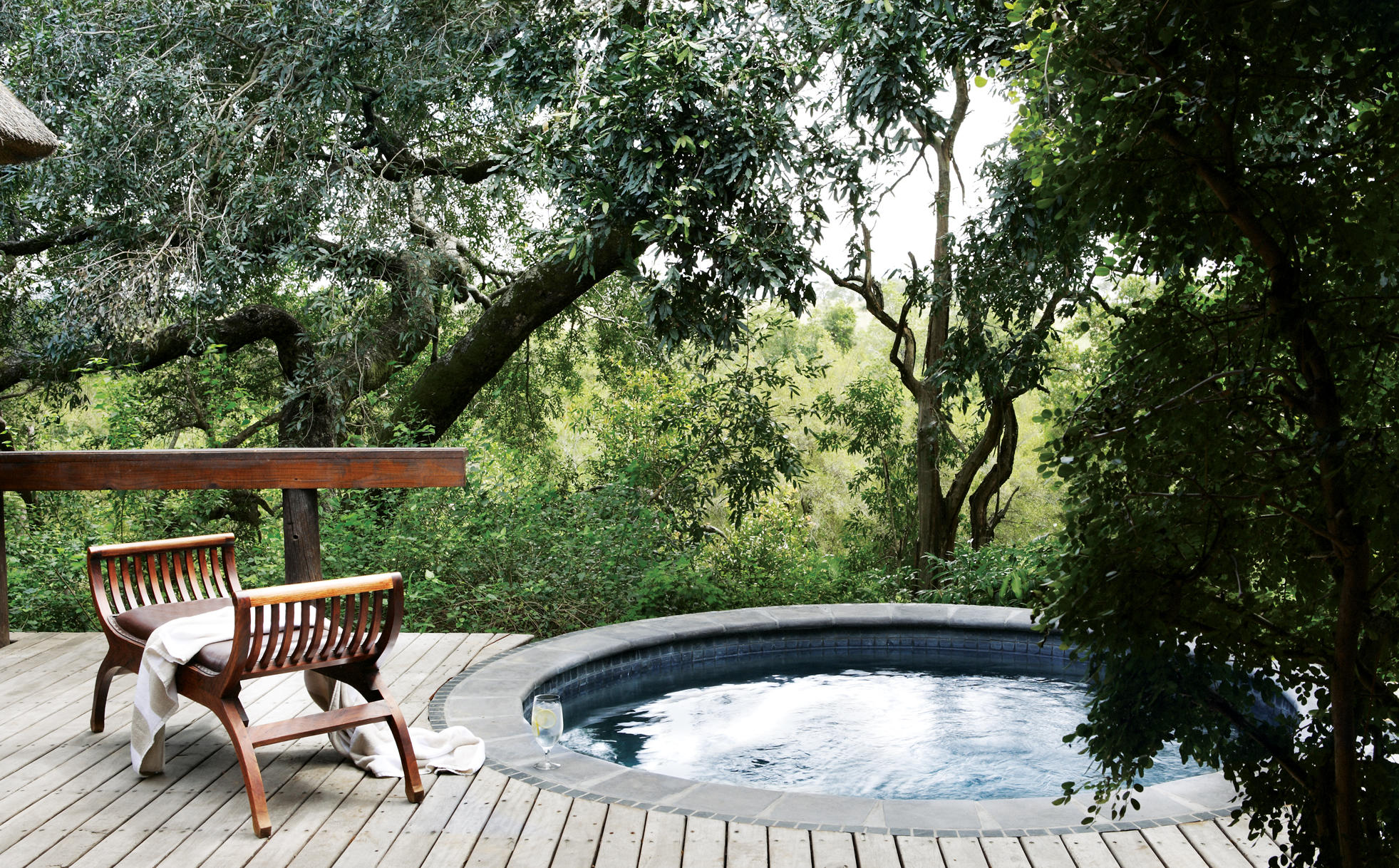 Londolozi Varty Camp 4