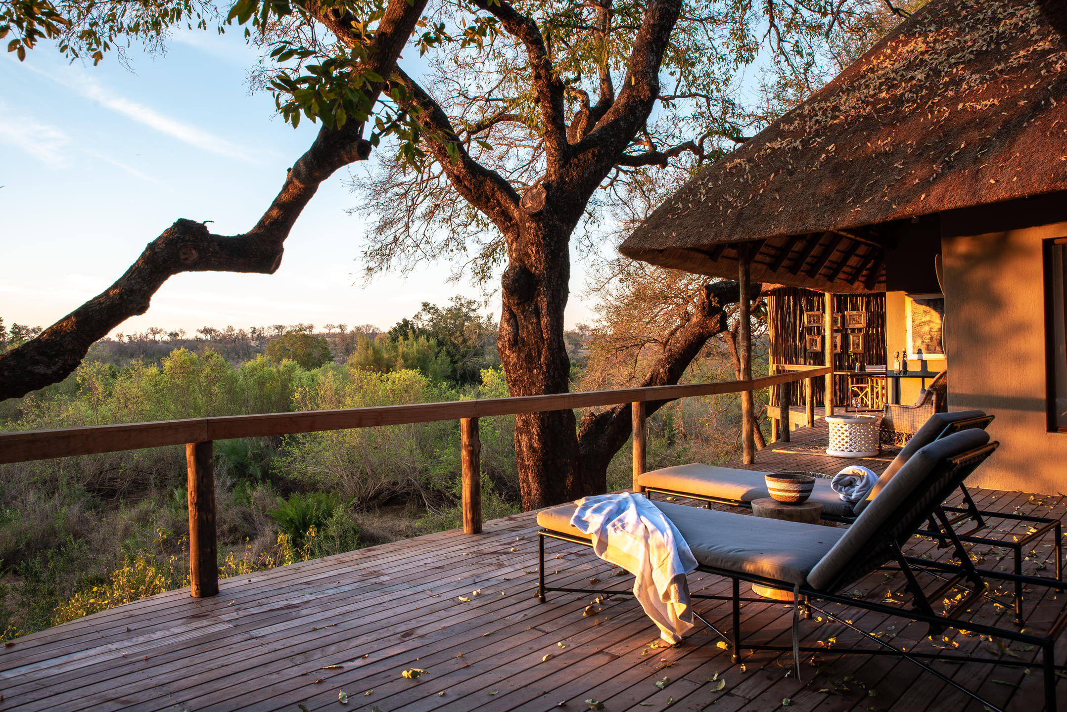 Londolozi Varty Camp 3