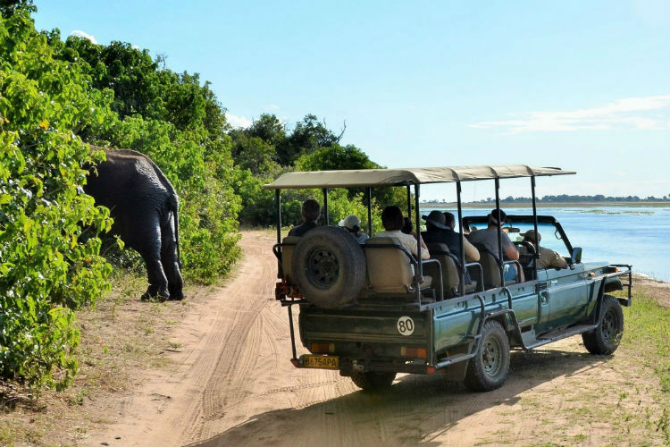 Thebe River Safaris Lodge