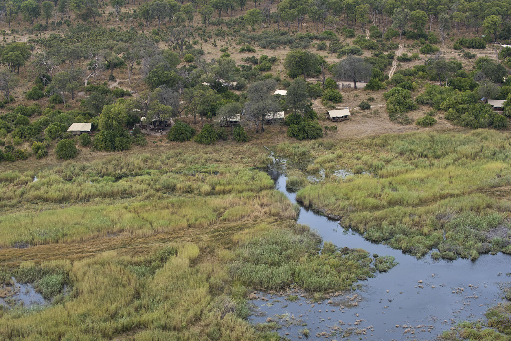 Linyanti Bush Camp