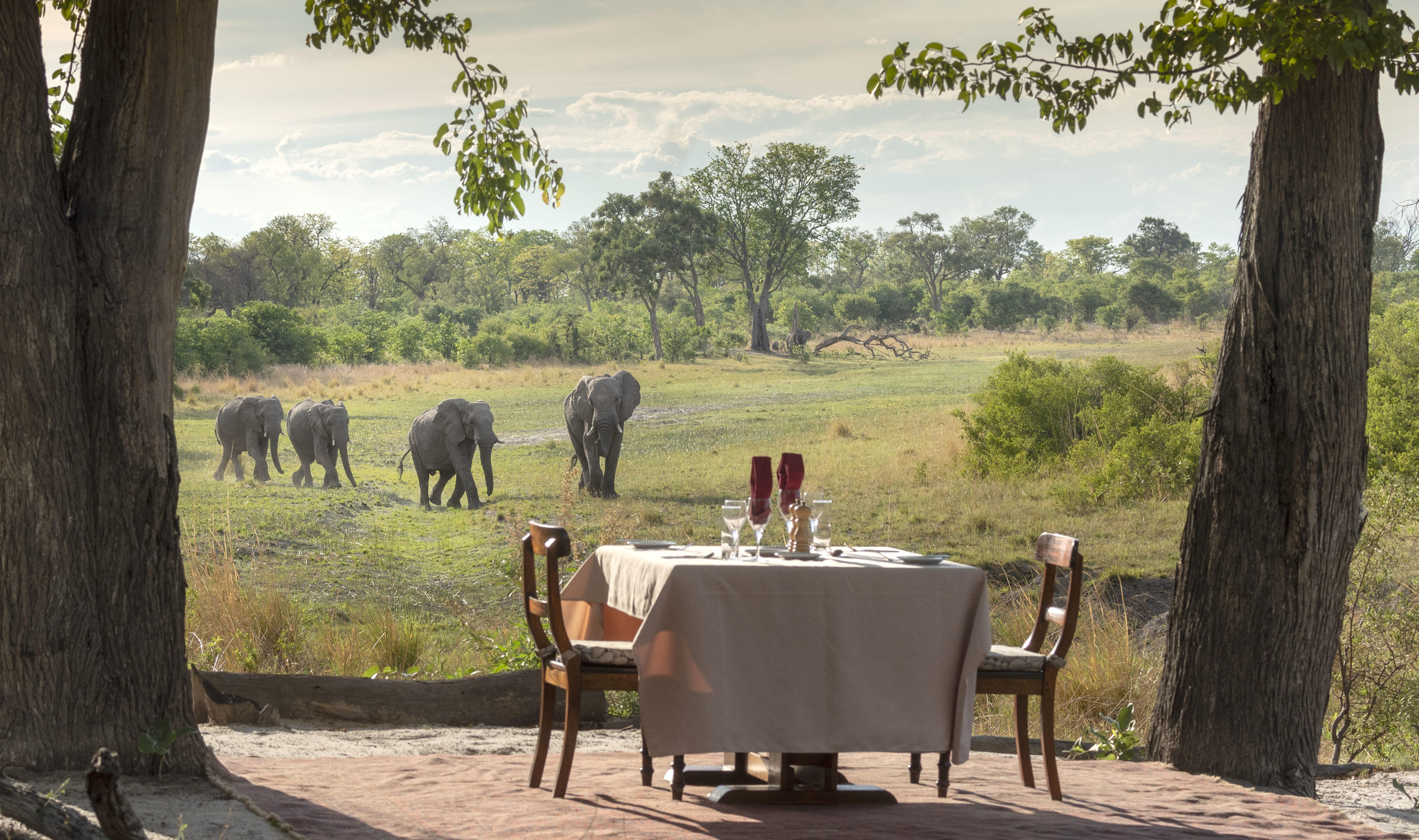Selinda Explorers Camp