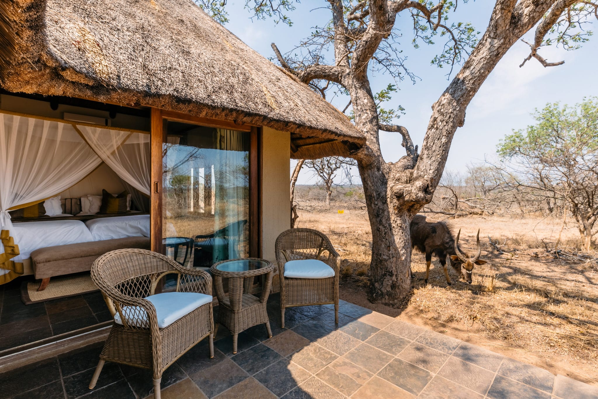 Jackalberry Lodge 2