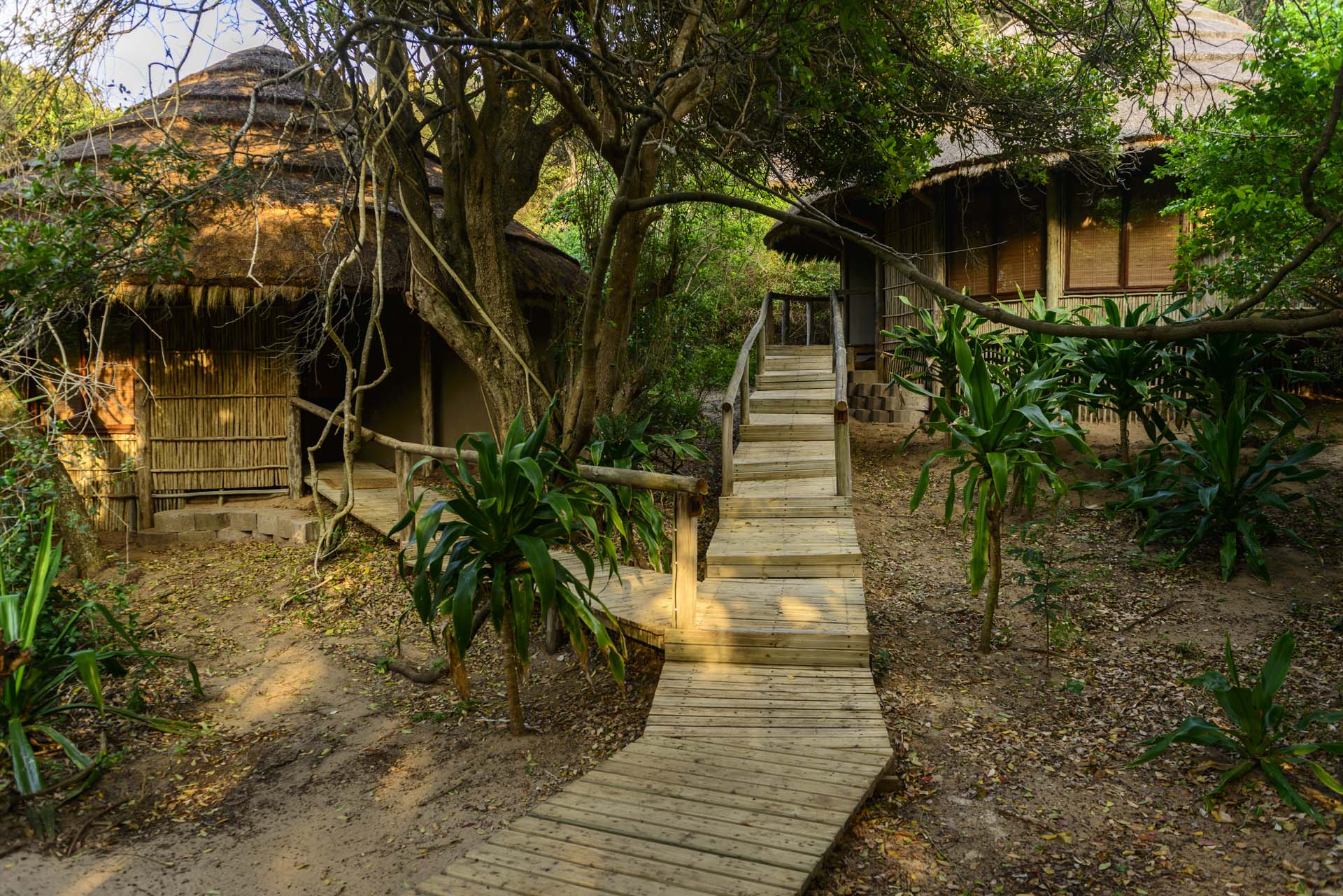 Thonga Beach Lodge 2