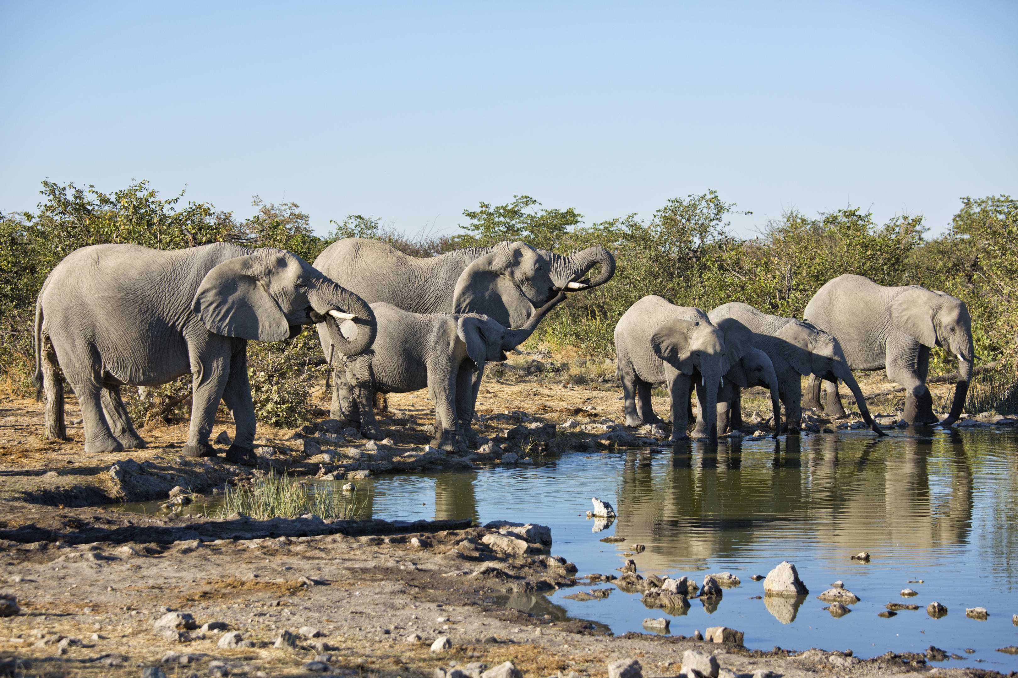 Safarihoek Lodge 9