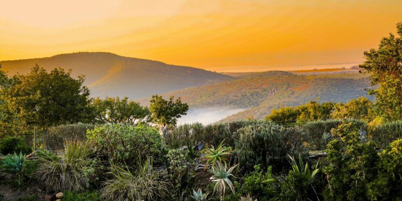 Bellevue Forest Reserve - Elephant's Lodge 5