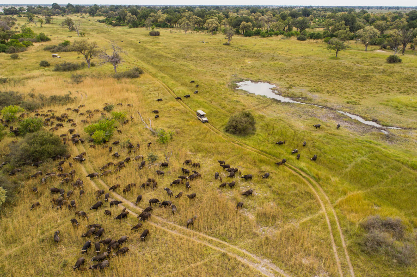 Camp Xakanaxa