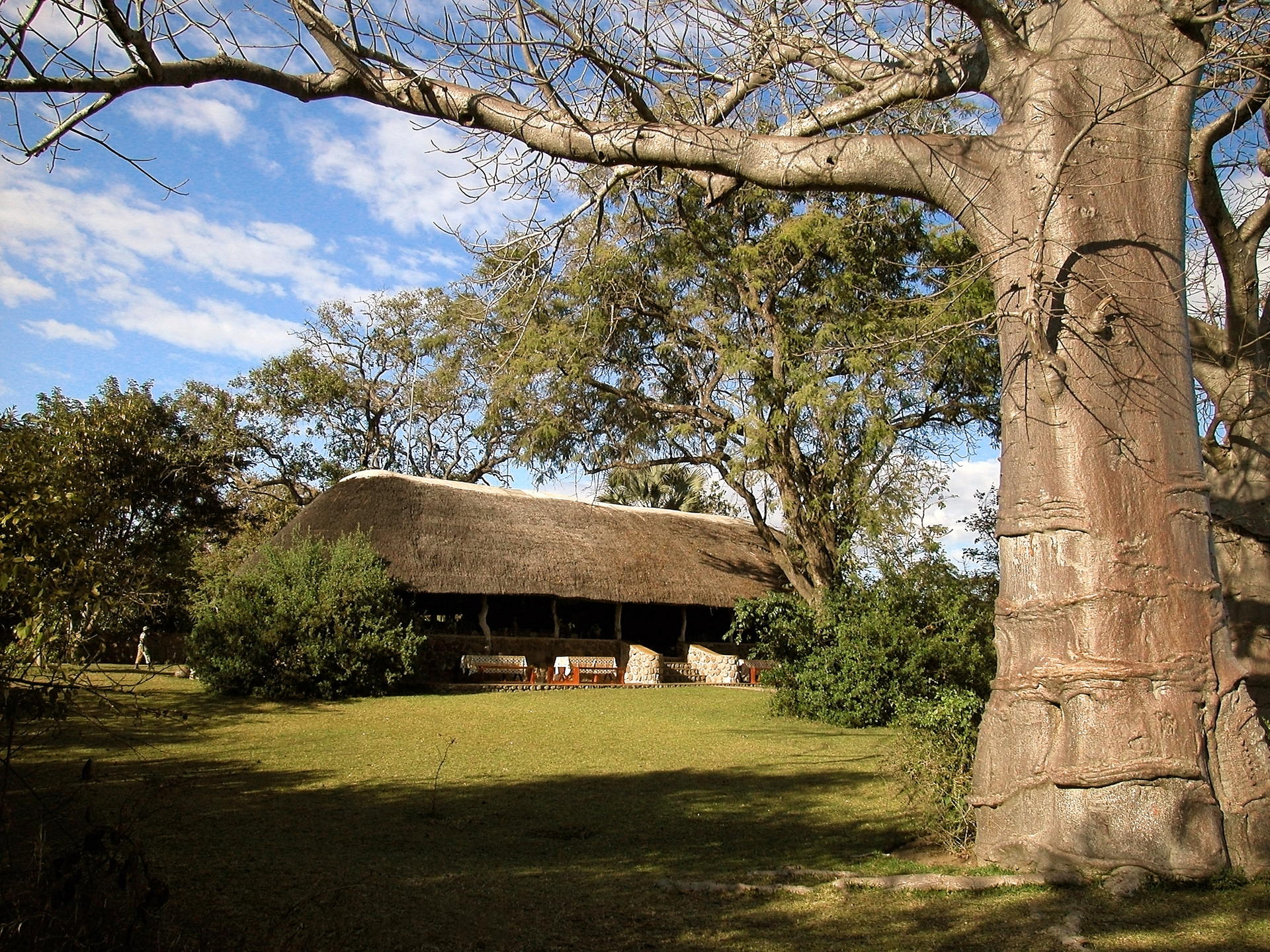 Mvuu Camp