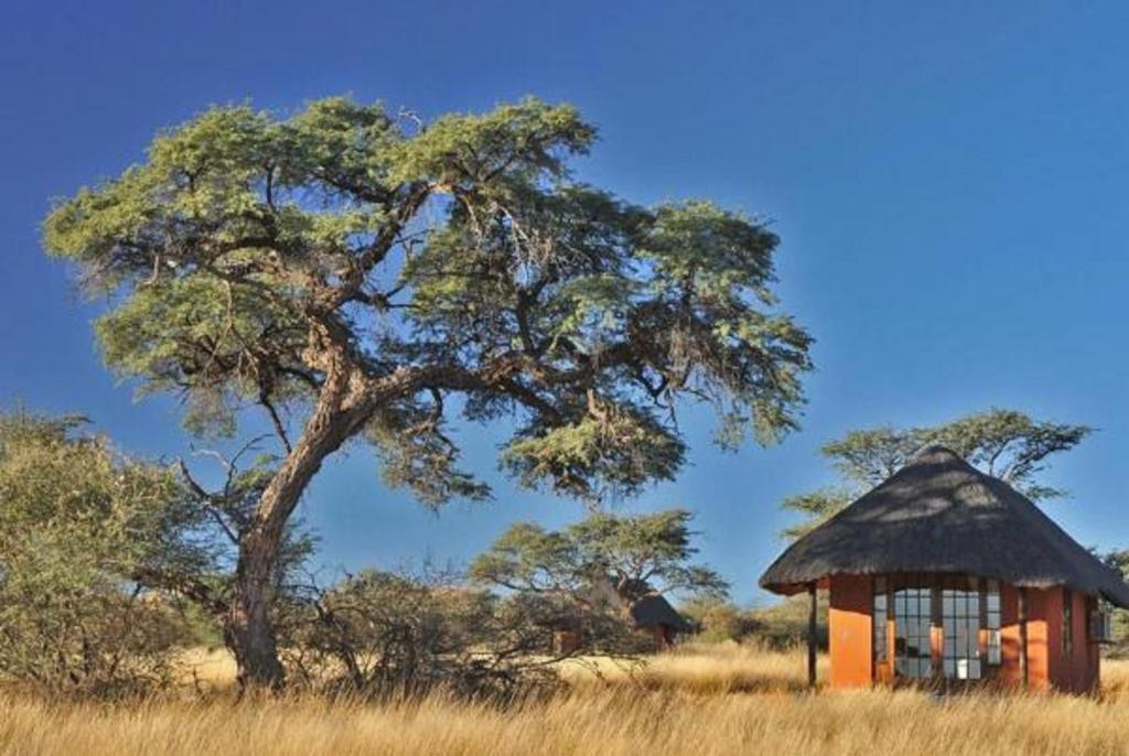 Camelthorn Kalahari Lodge 2