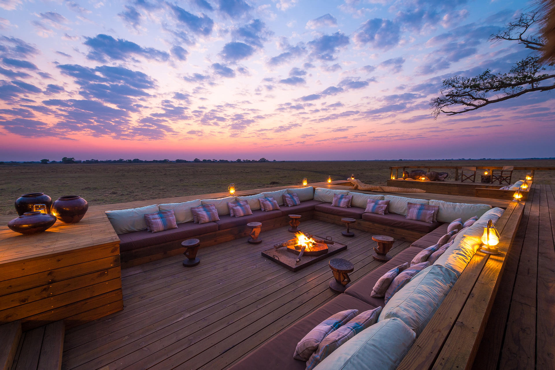 Wilderness Shumba