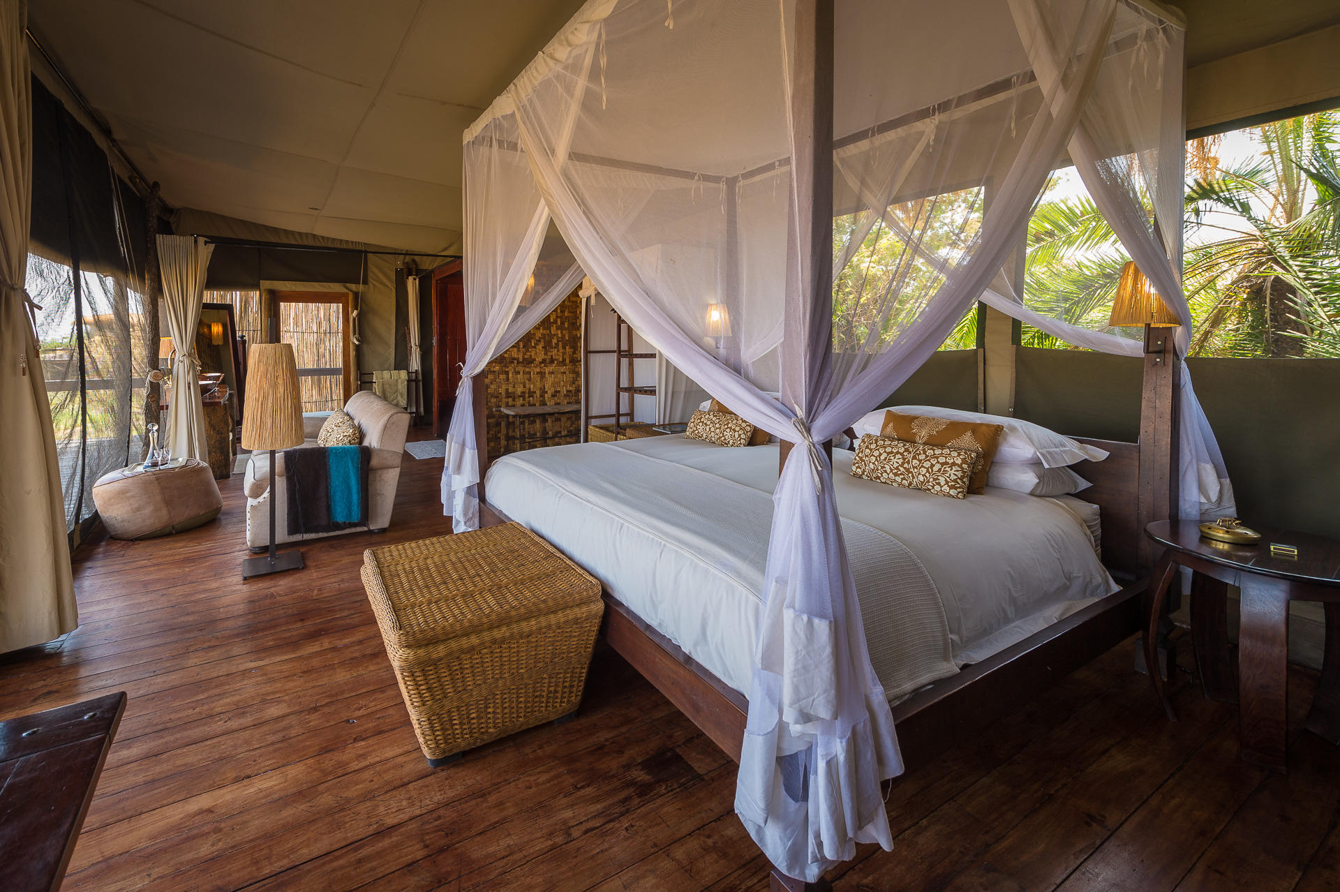 Wilderness Shumba