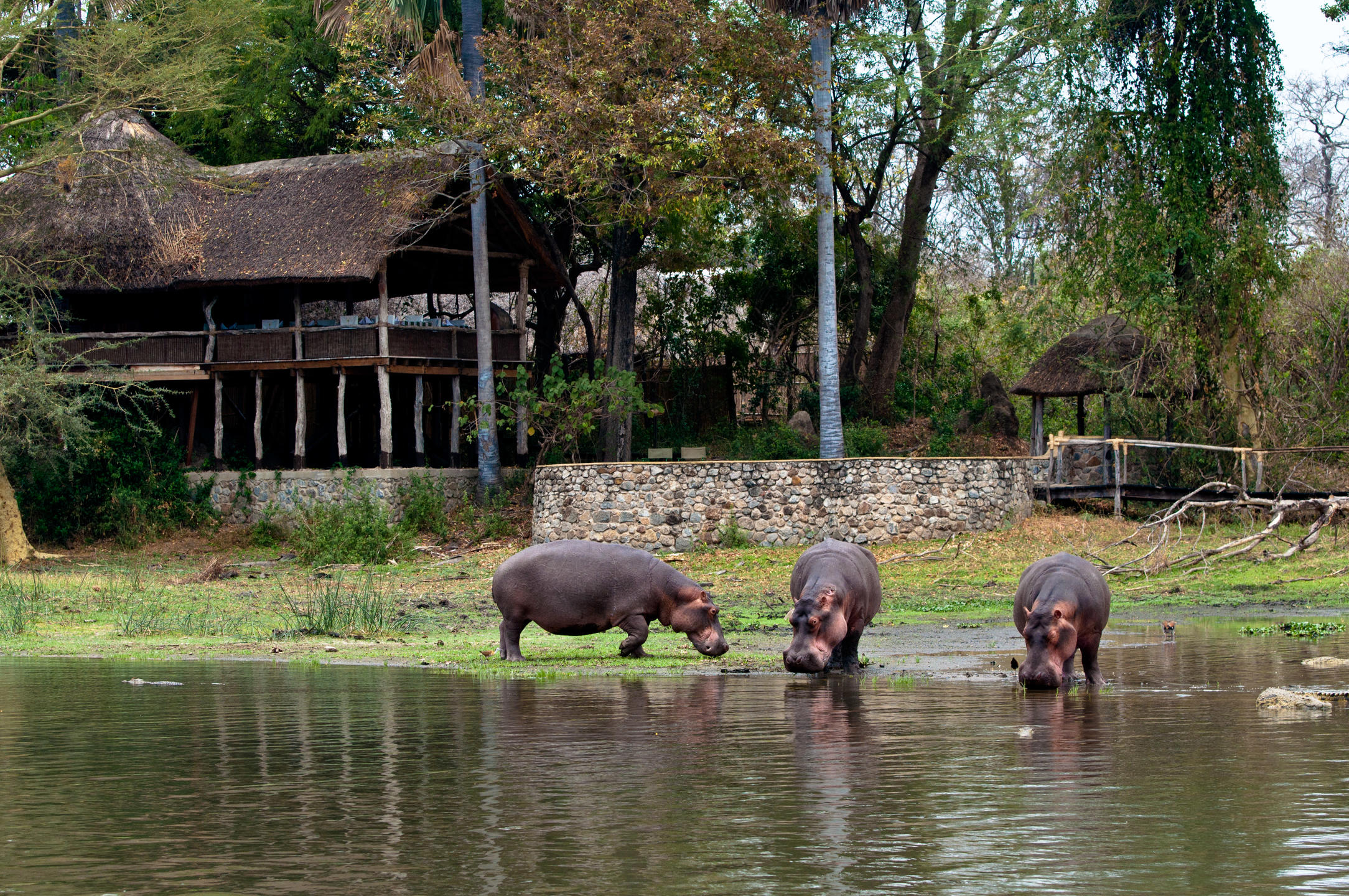 Mvuu Lodge