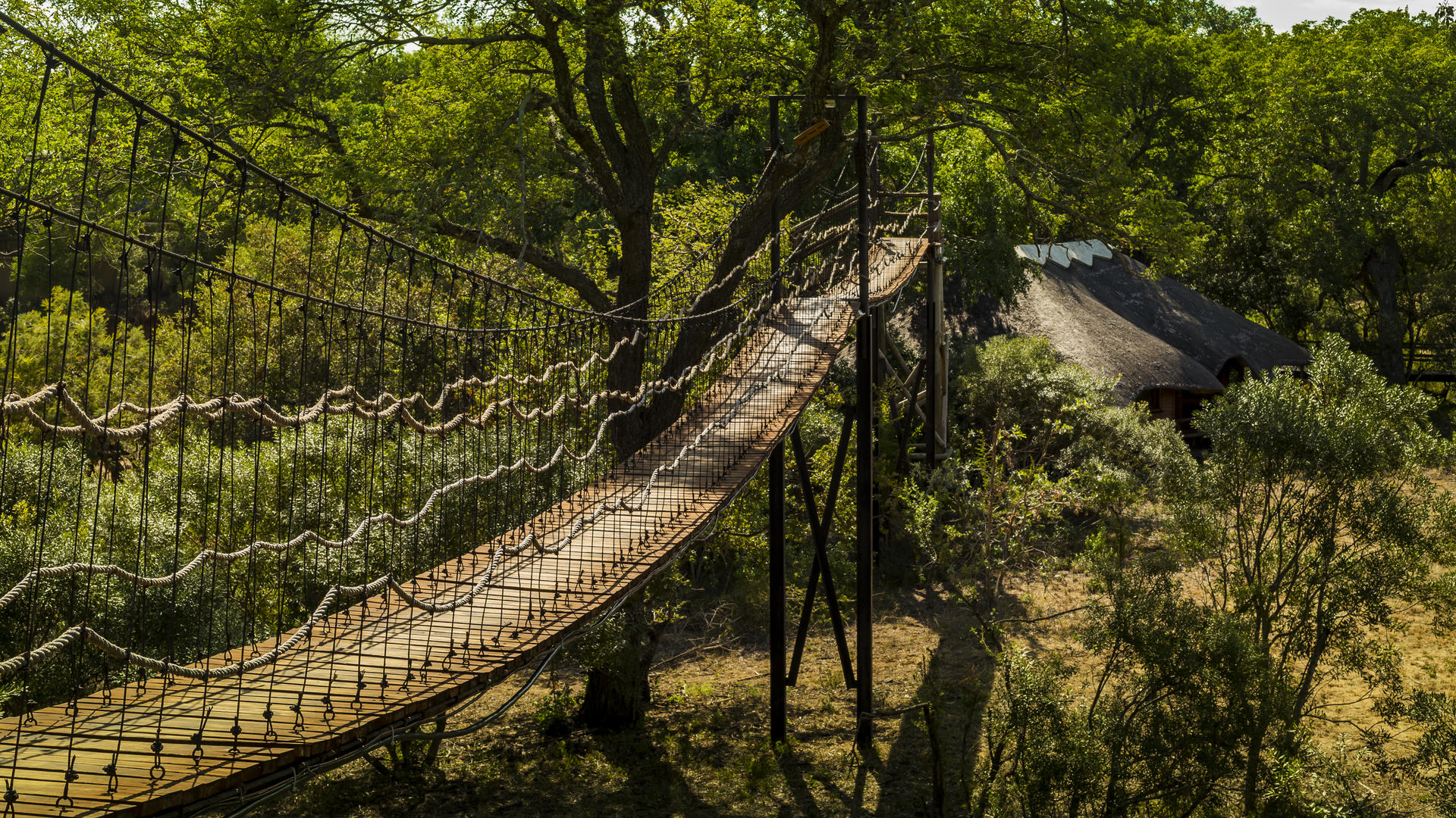 Ulusaba Safari Lodge 6