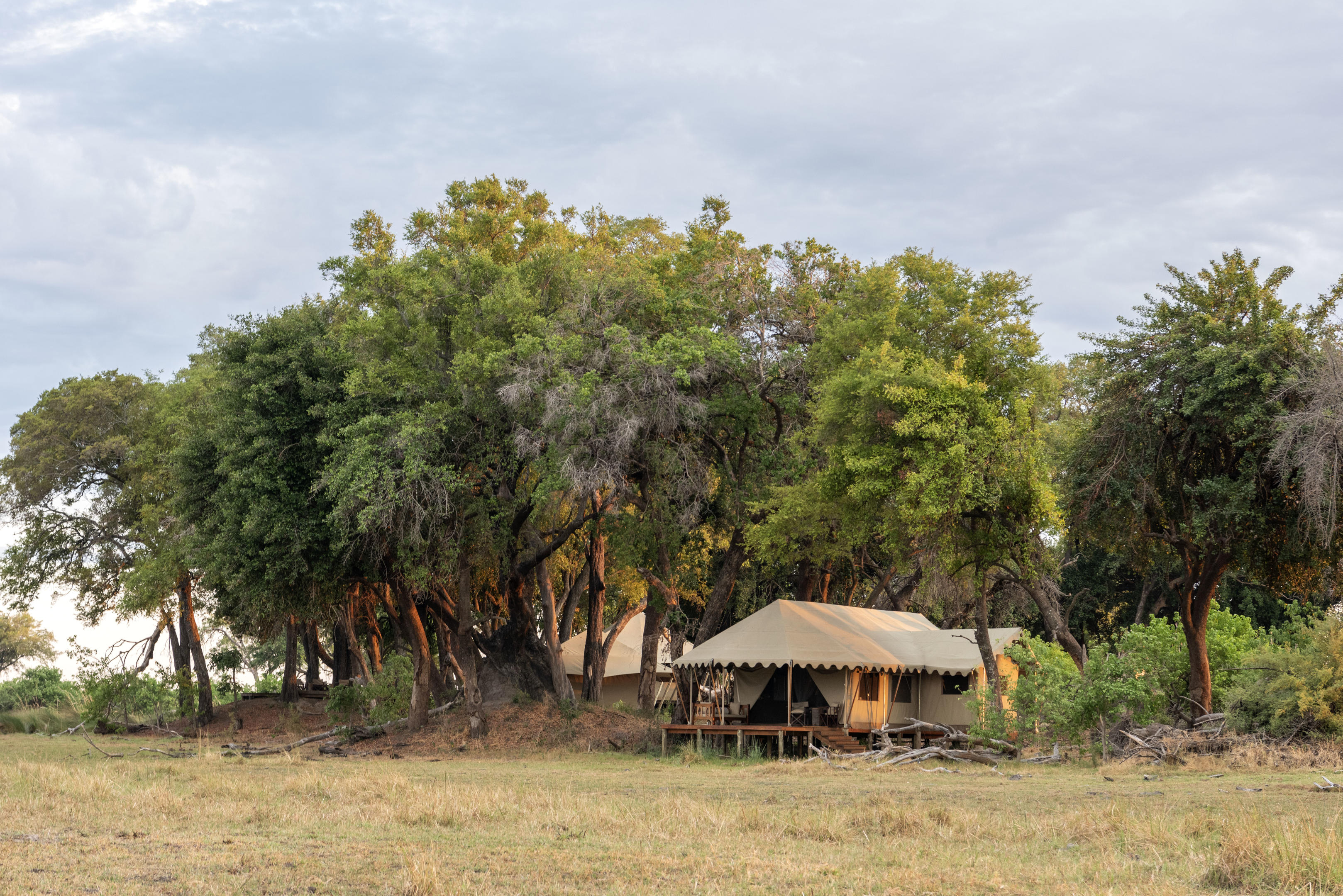 Duba Explorers Camp