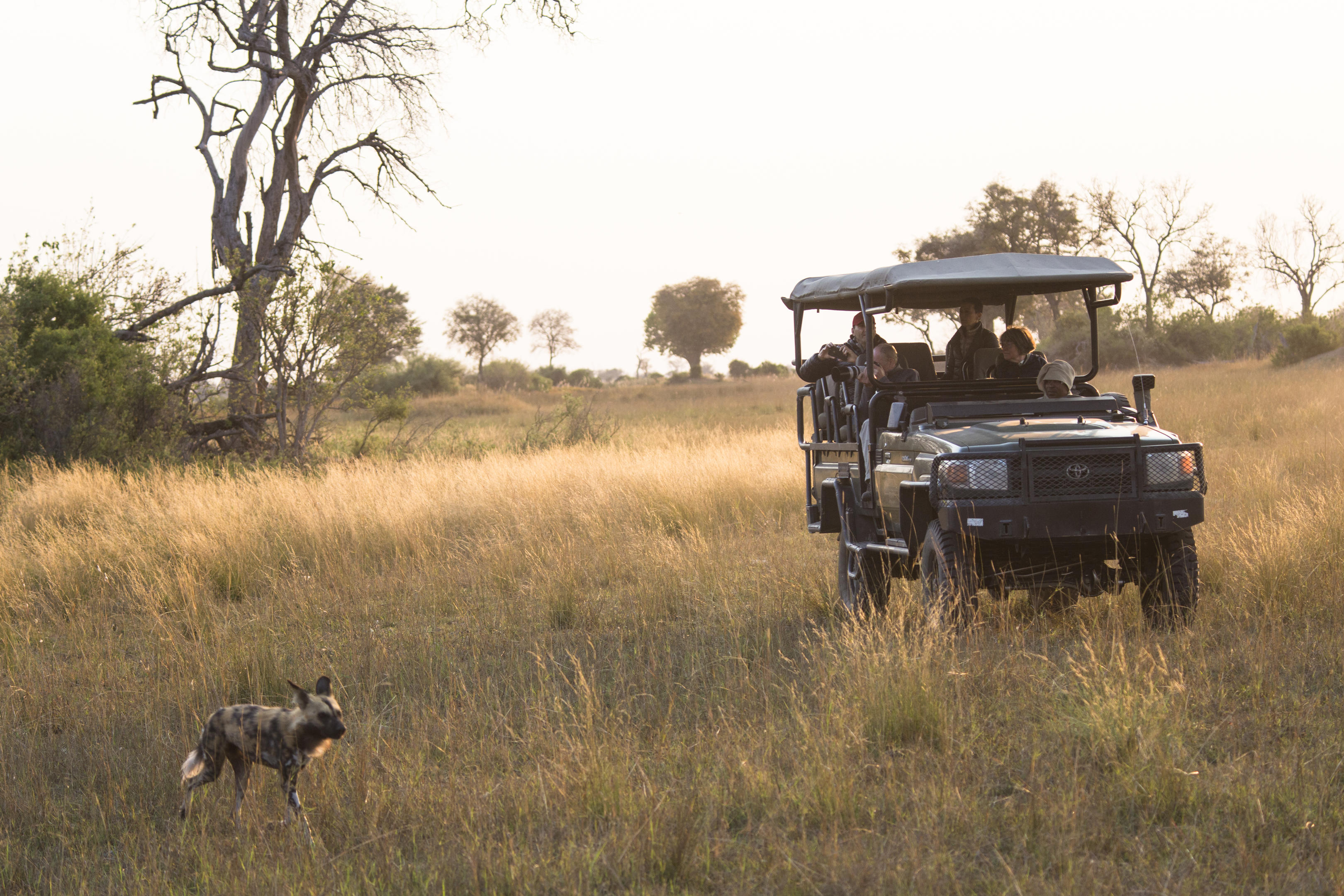 Duba Explorers Camp