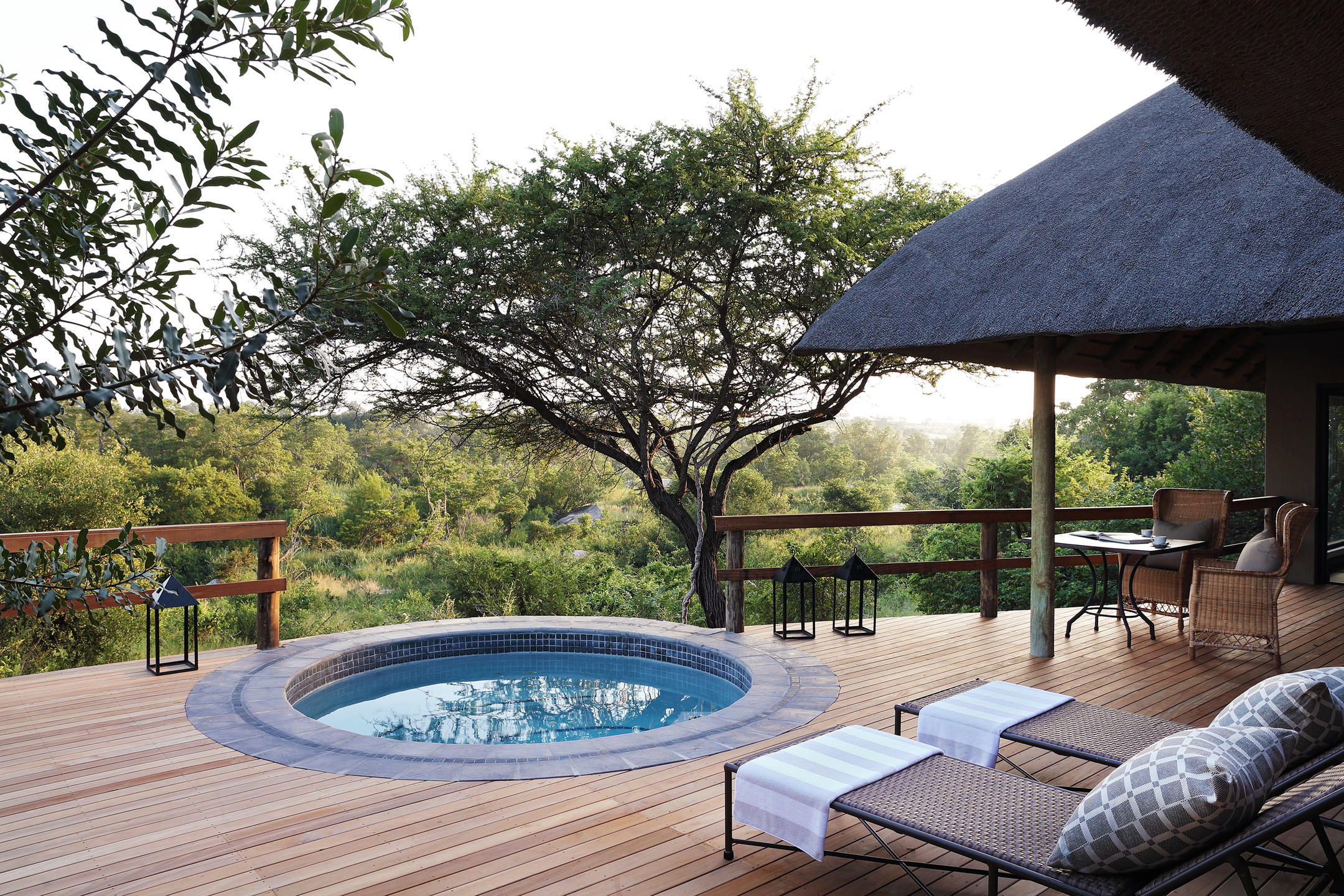 Londolozi Pioneer Camp 5