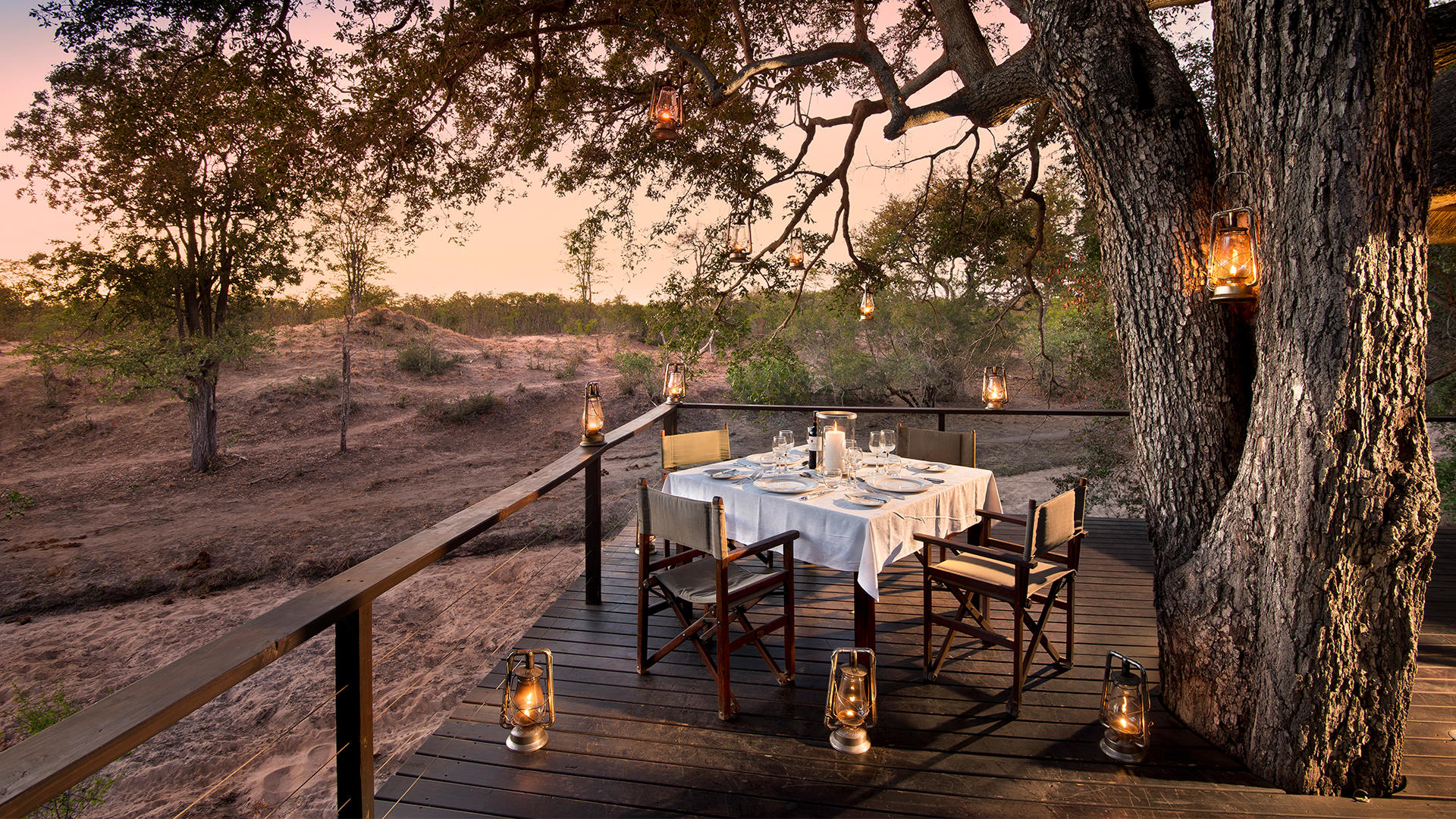 Ngala Safari Lodge 6