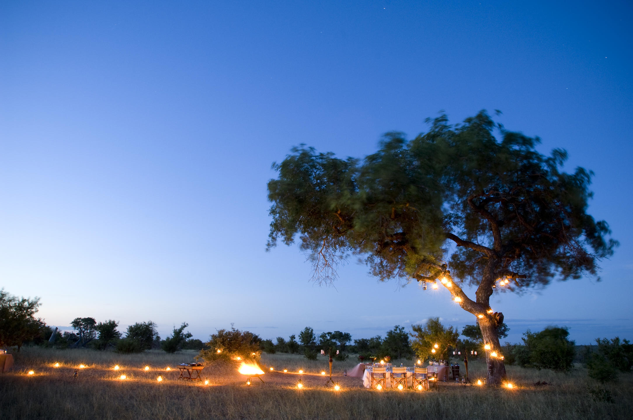 Ngala Safari Lodge 3