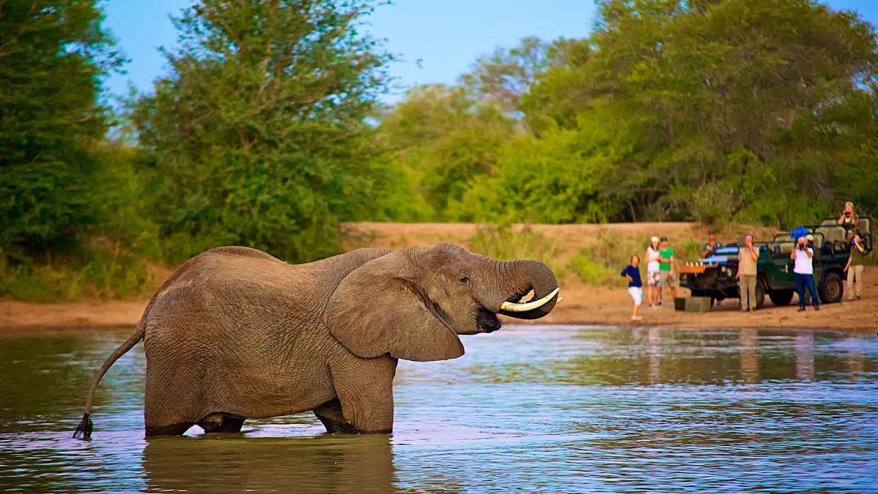 nThambo Tree Camp 3