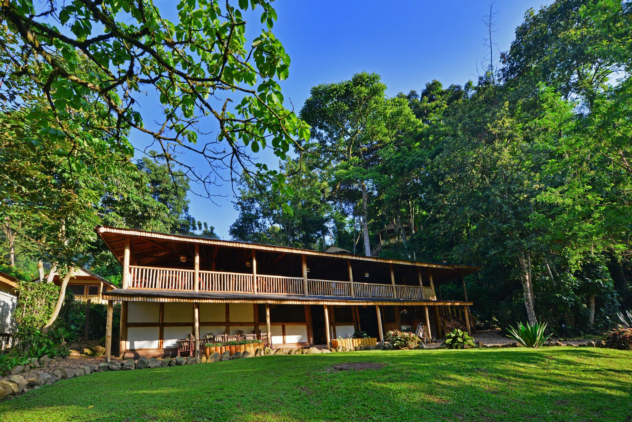 Bwindi Impenetrable Forest