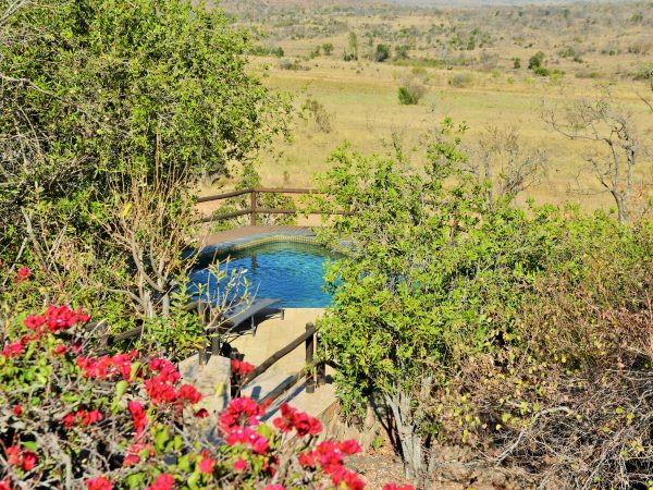 Kololo Game Reserve 6