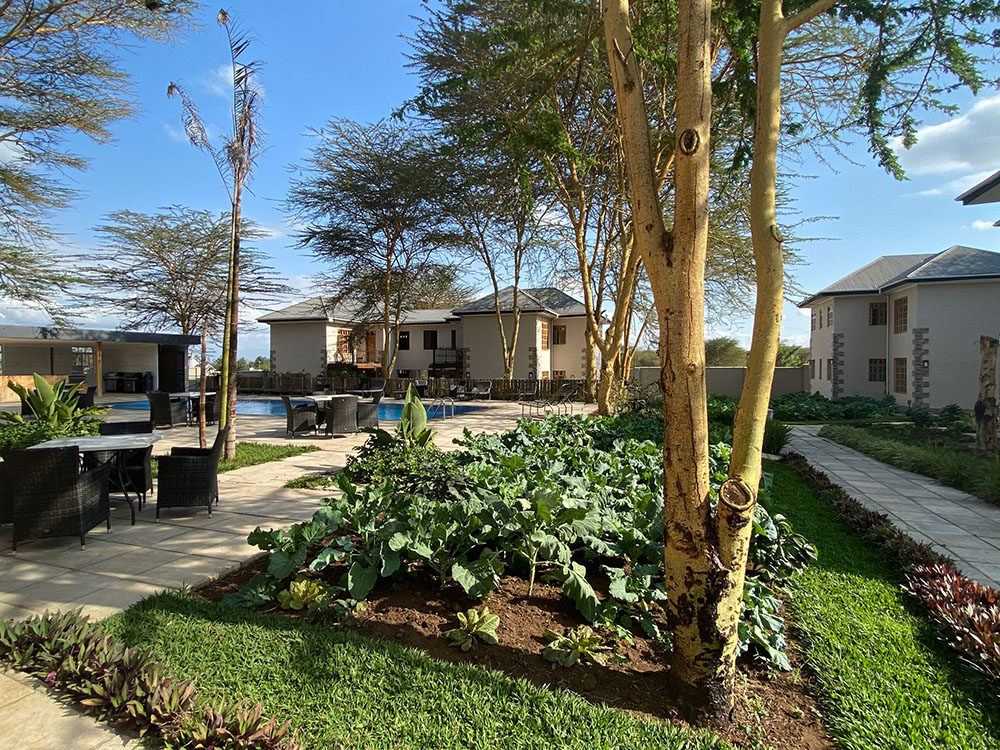 Kahawa House