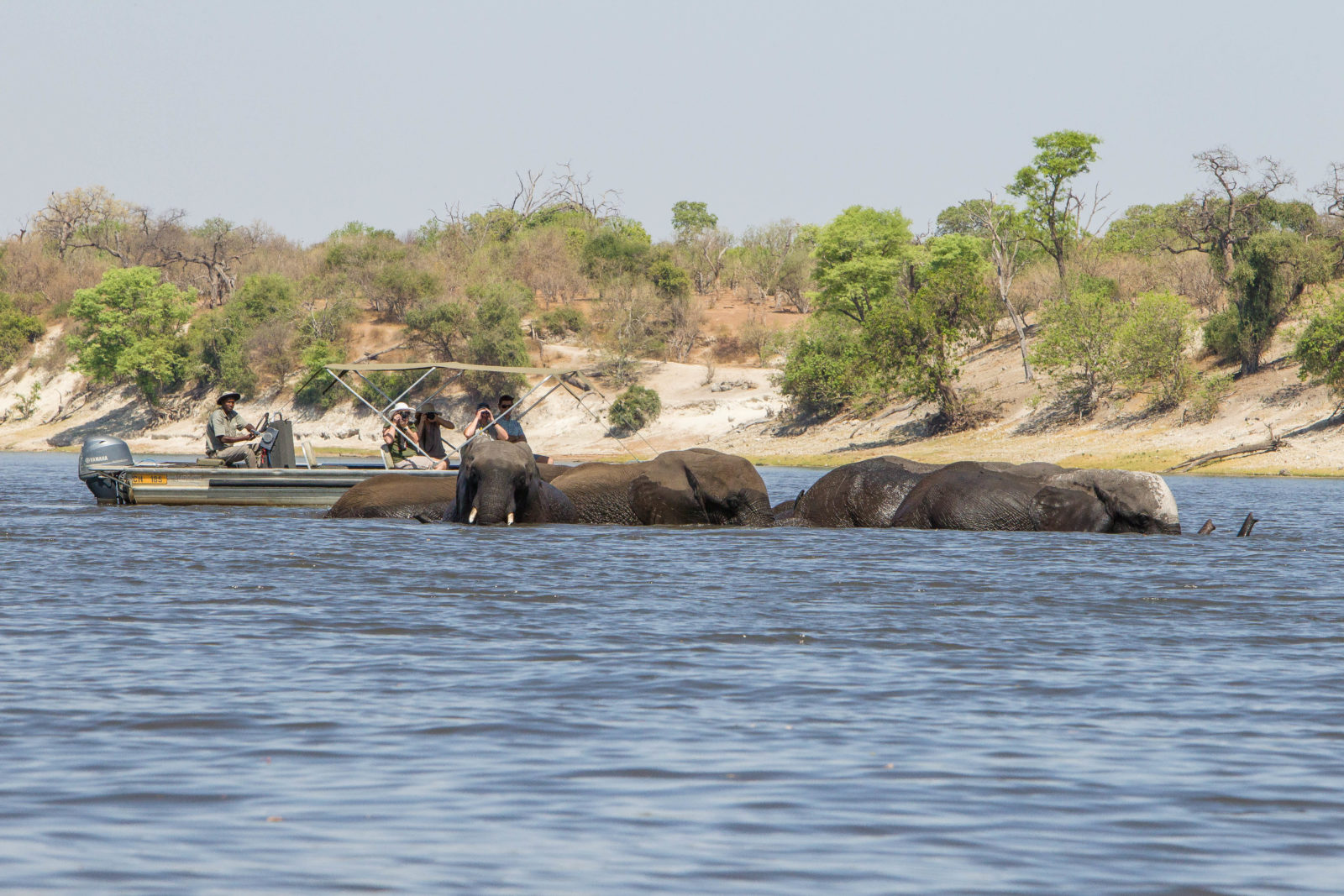 Chobe Savanna Lodge