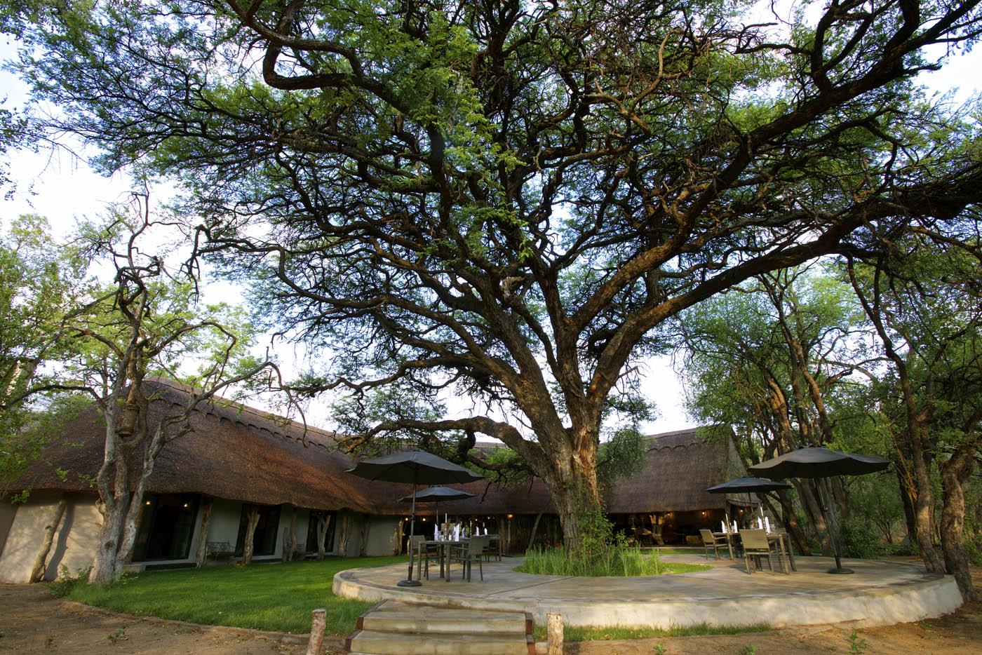 Camelthorn Lodge