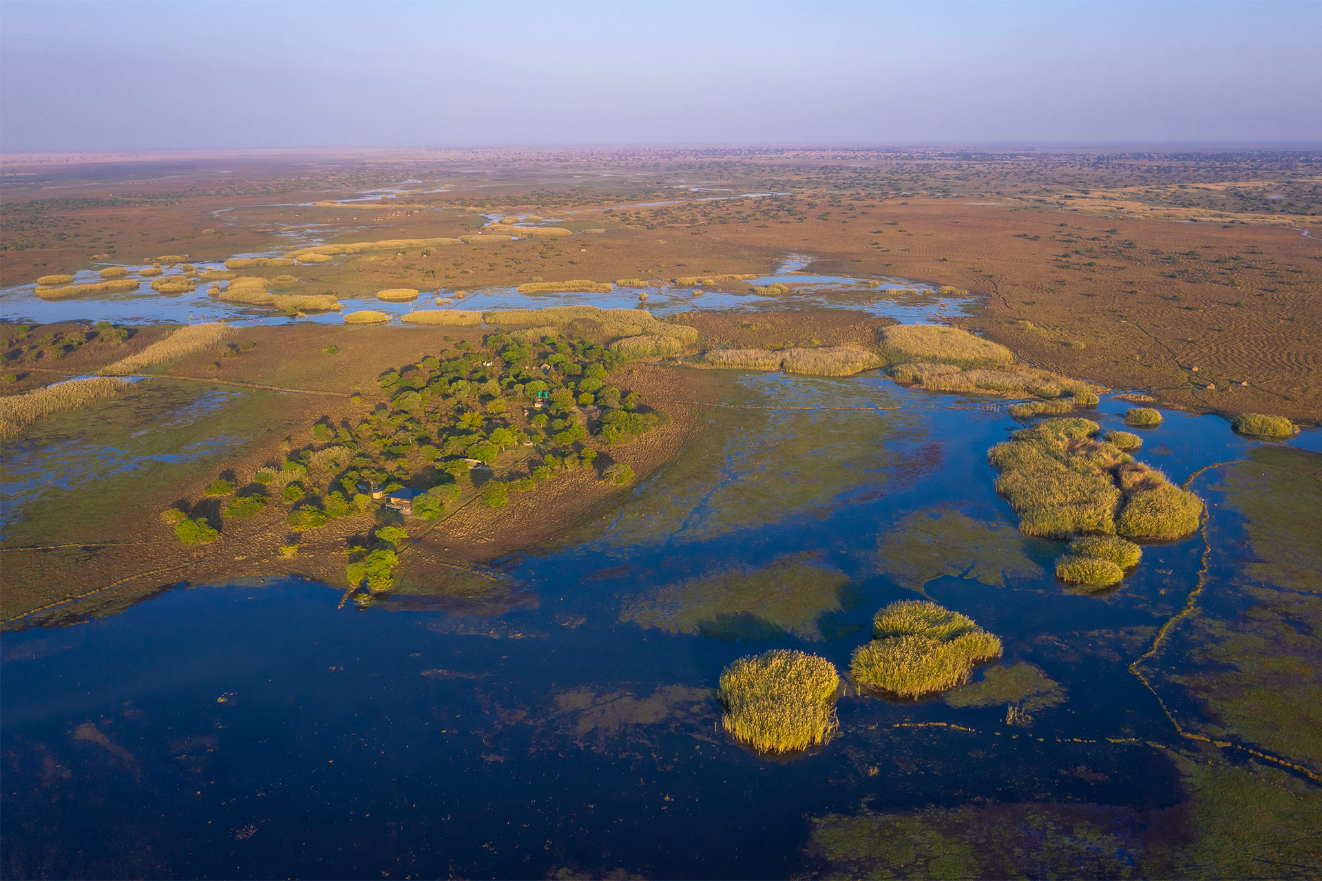 Kasanka National Park
