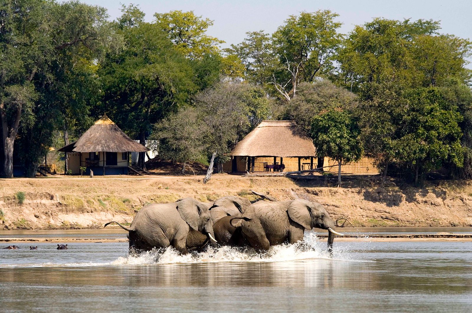 Nsefu Camp