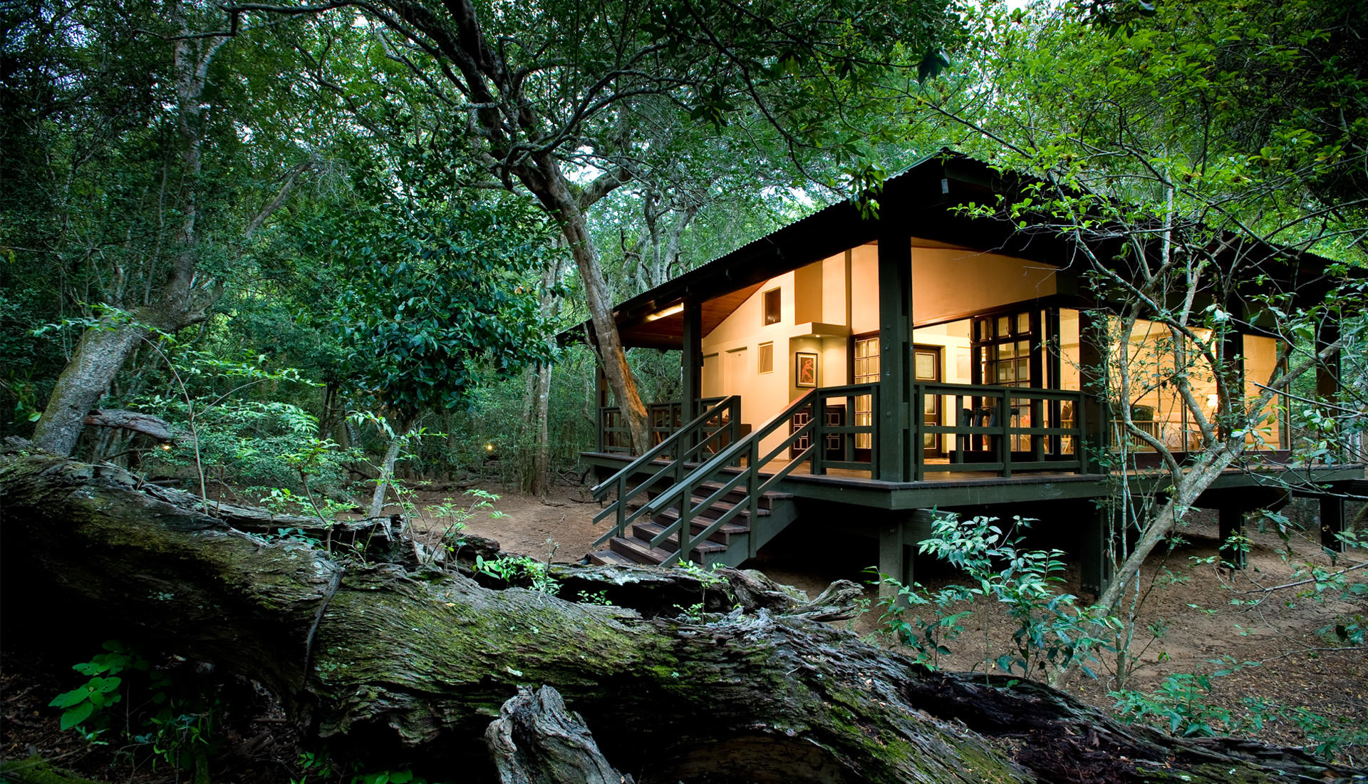 Phinda Forest Lodge 5