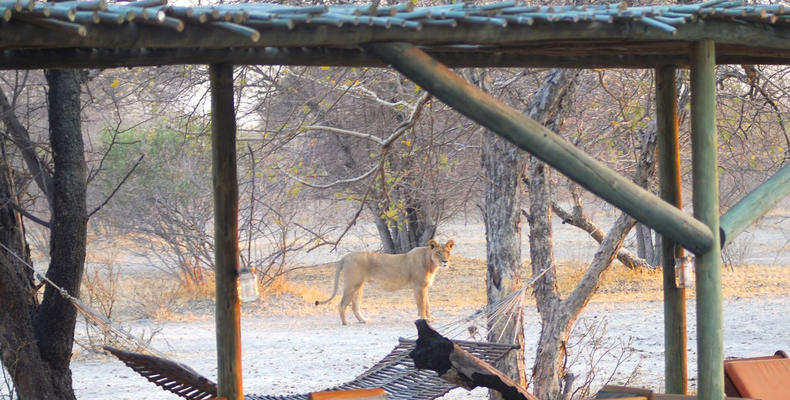 Evolve Back Gham Dhao Lodge