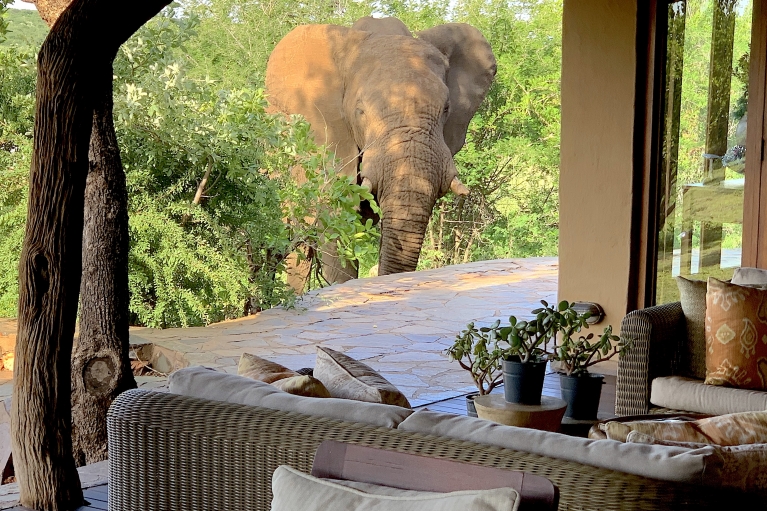 Rhulani Safari Lodge 5