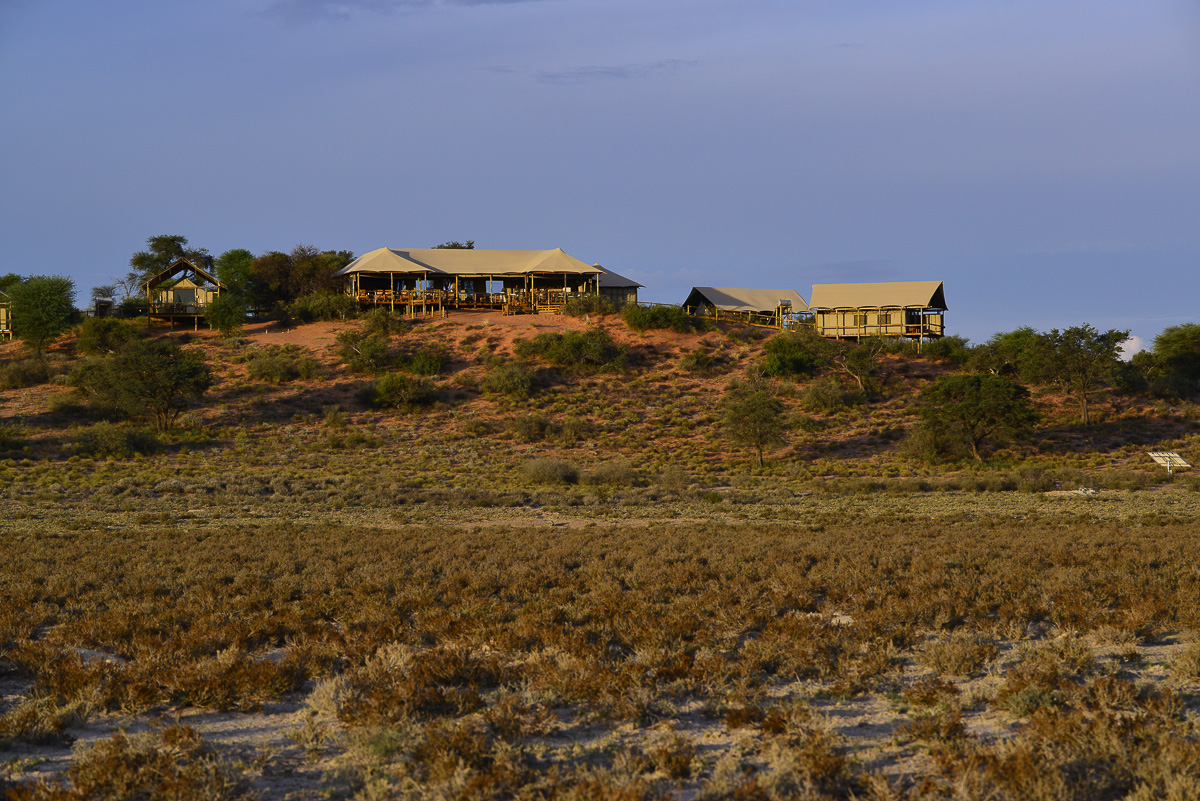 Kgalagadi Transfrontier Park