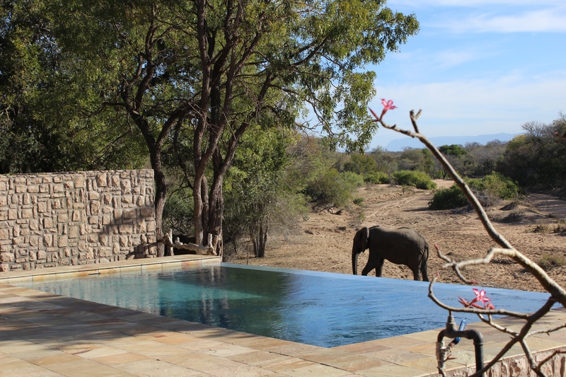 Shumbalala Game Lodge 2