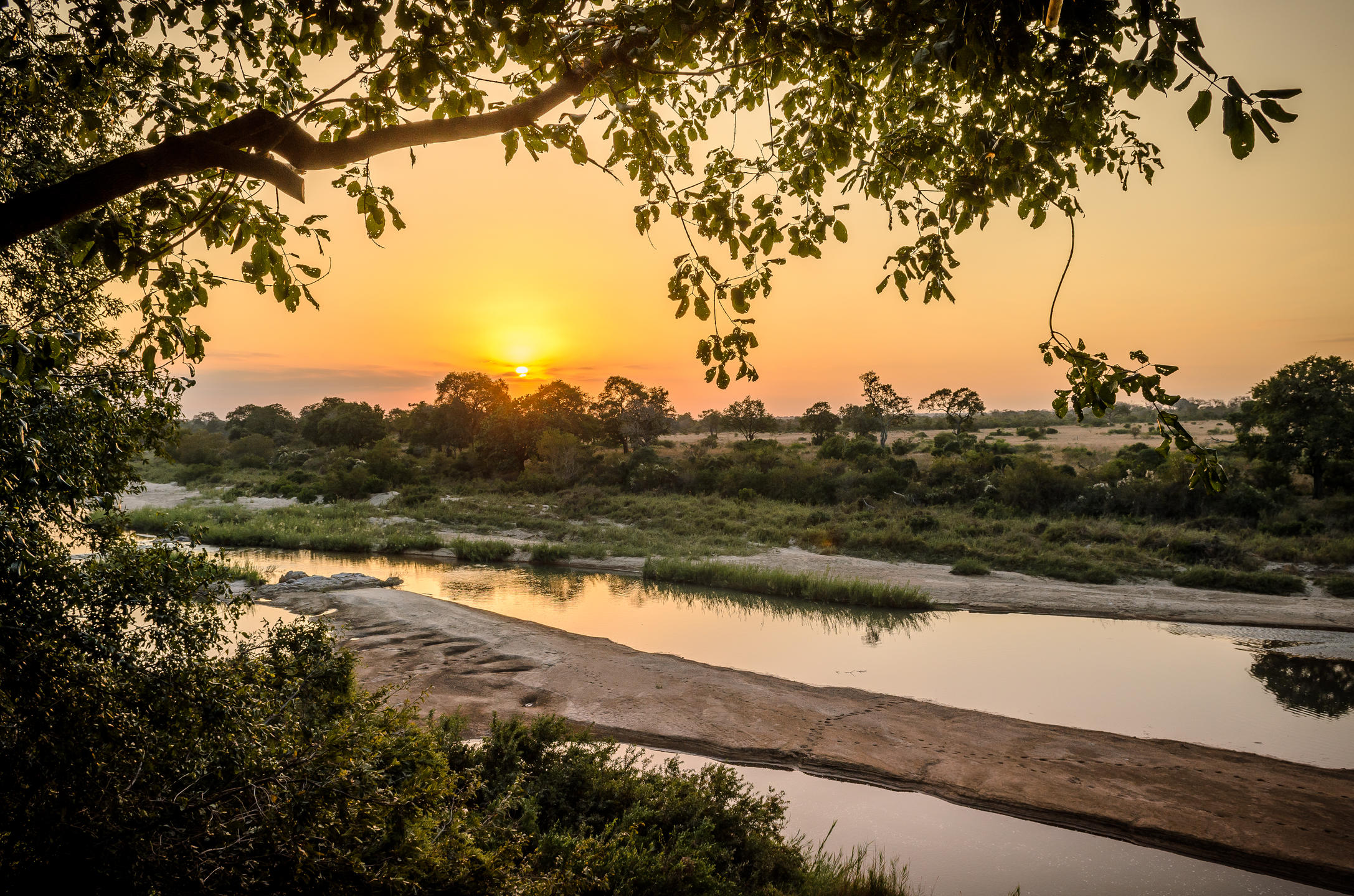 Singita Boulders Lodge 6