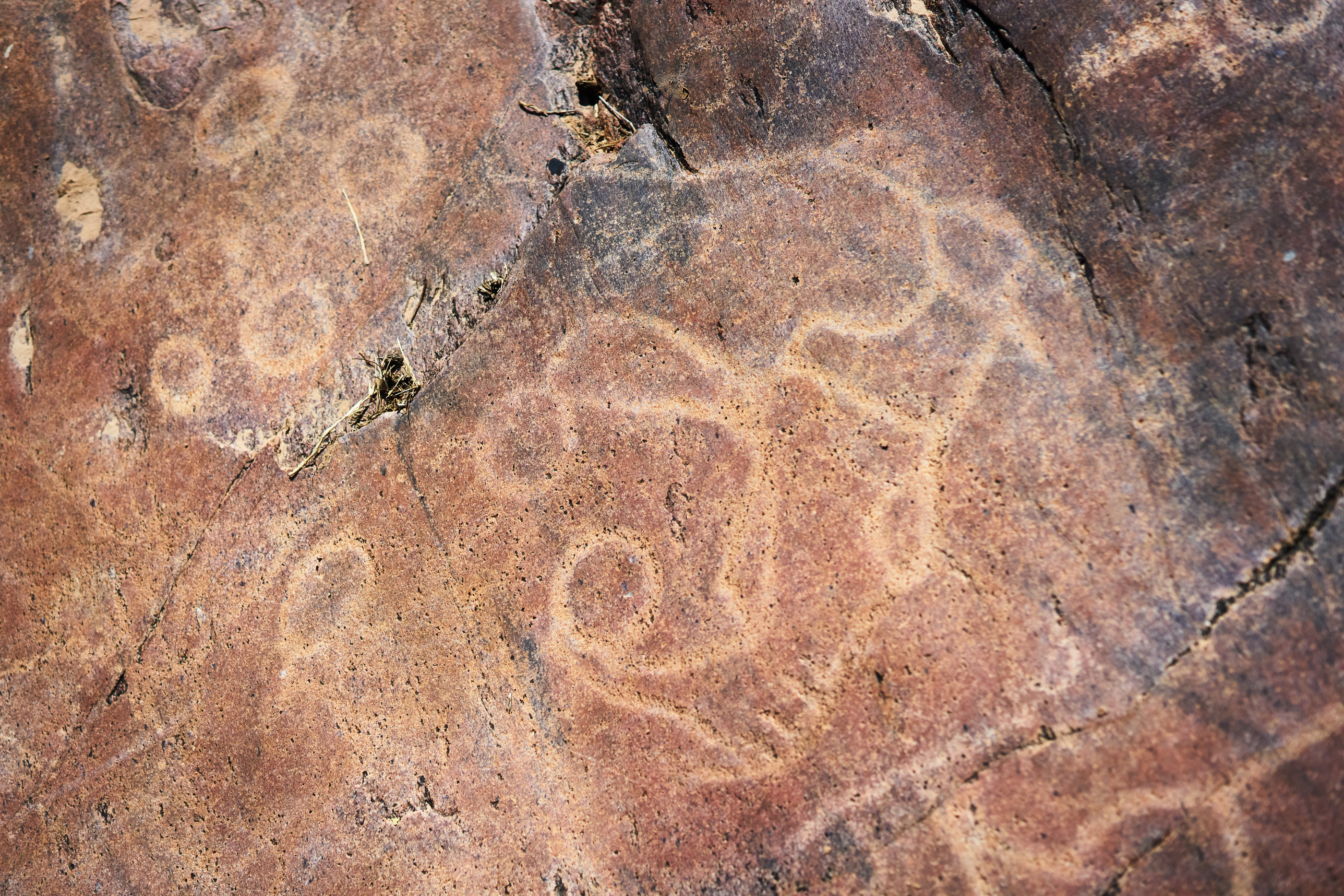 Tswalu Tarkuni Homestead 4