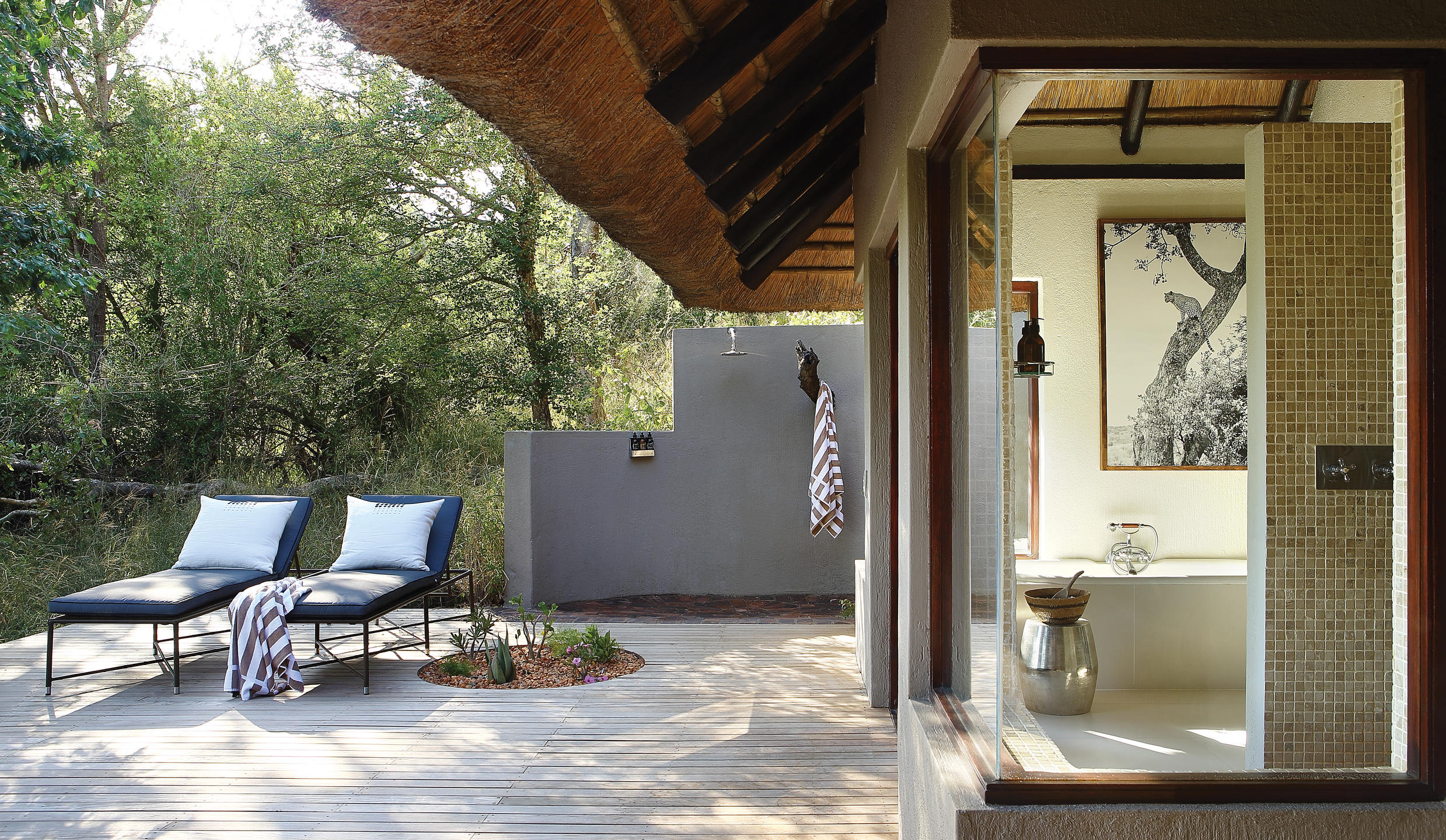 Londolozi Tree Camp 4