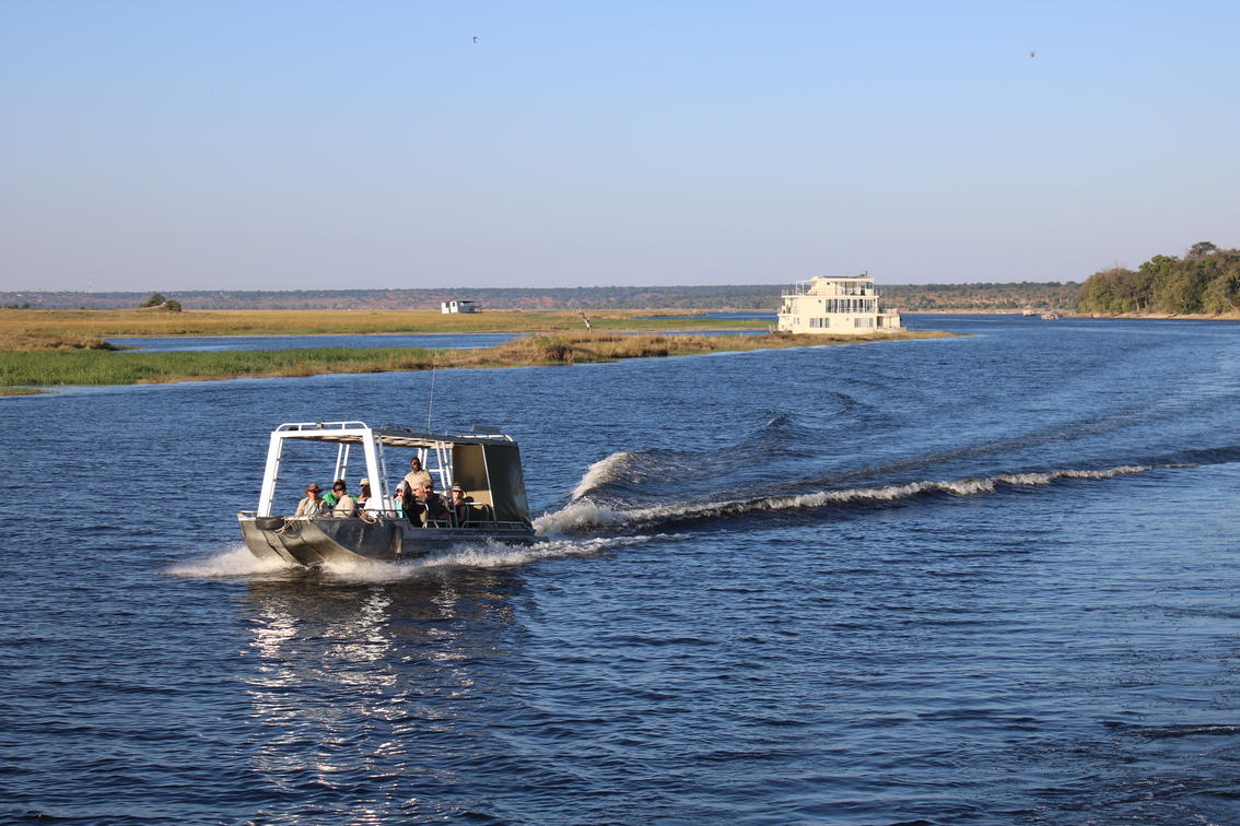 The Chobe Princesses by Mantis
