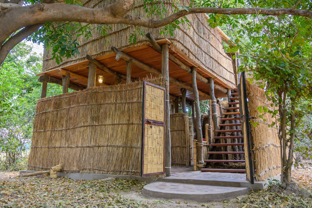 Chikoko Trails Camp