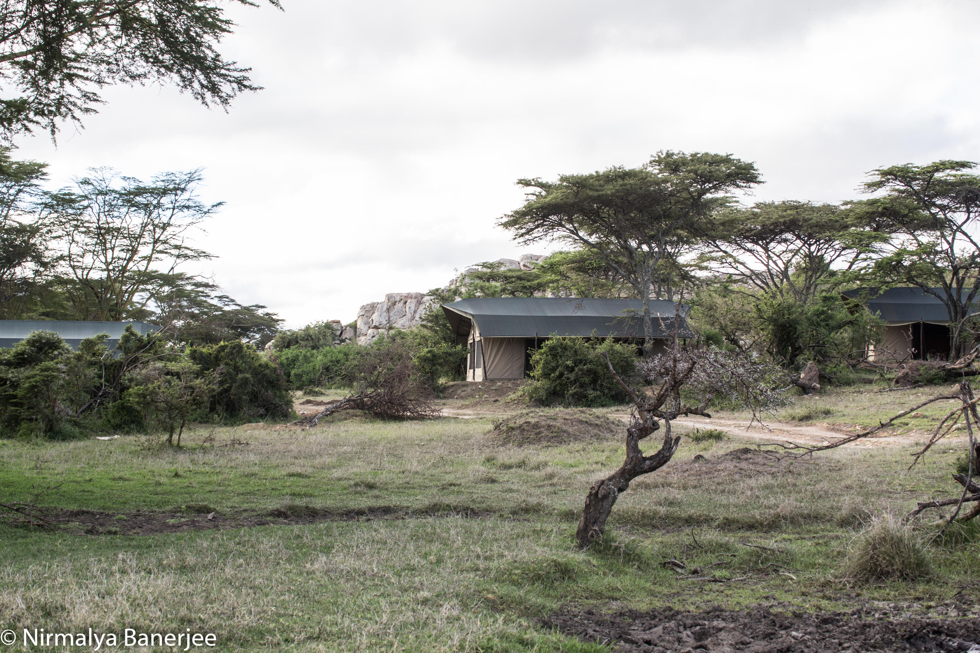 Porini Cheetah Camp