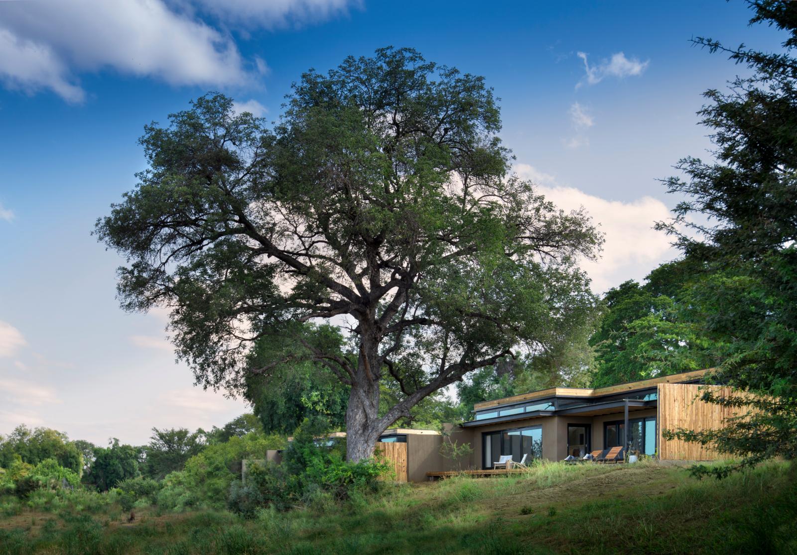 Lion Sands River Lodge