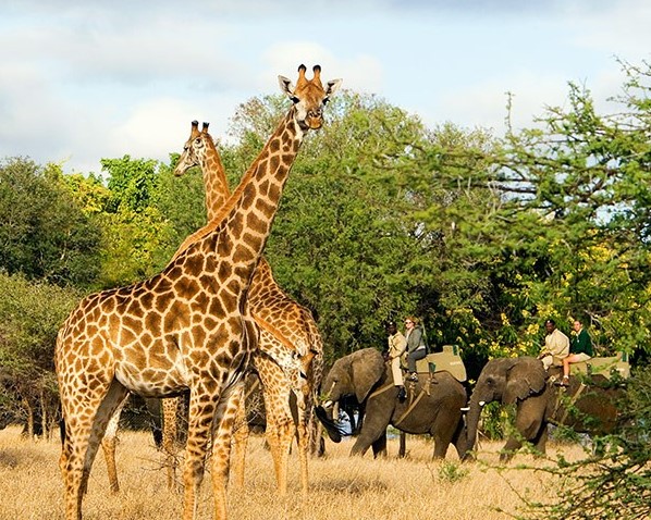 Jabulani 4