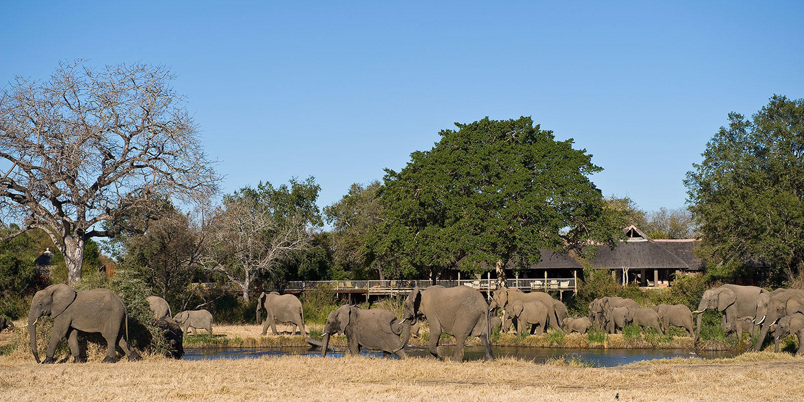 Sabi Sabi Bush Lodge 2